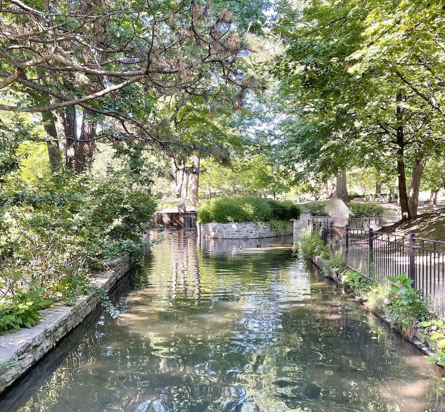 A spot of Lora's Montreal...⚜️