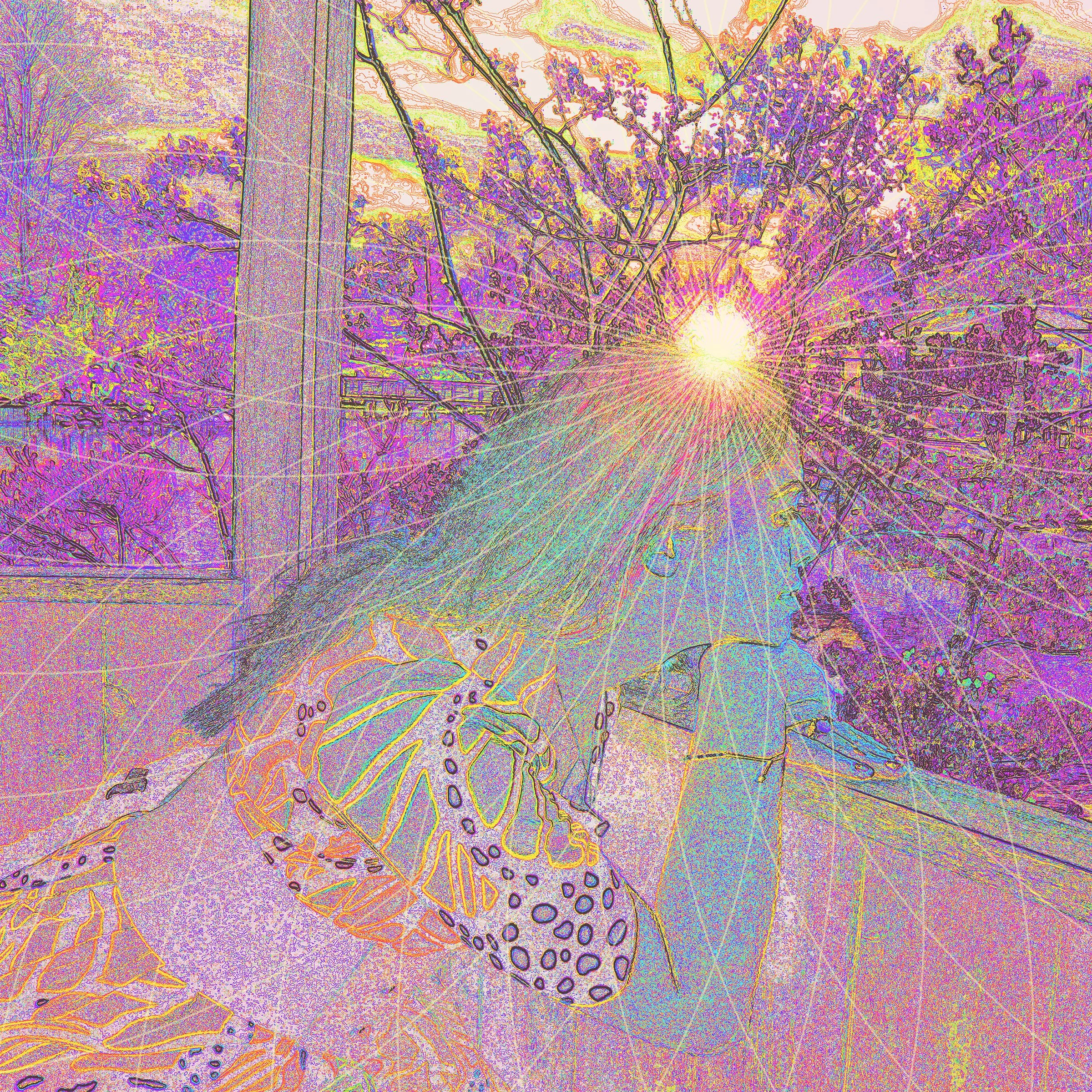 out the window sq (1) copy 2.jpg