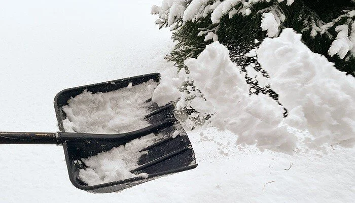 Resident of Housing Co-op Not Entitled to Pursue Statutory Claim for Premises Cause of Action; Appellate Court Rules For Defendant In Icy Slip &amp; Fall