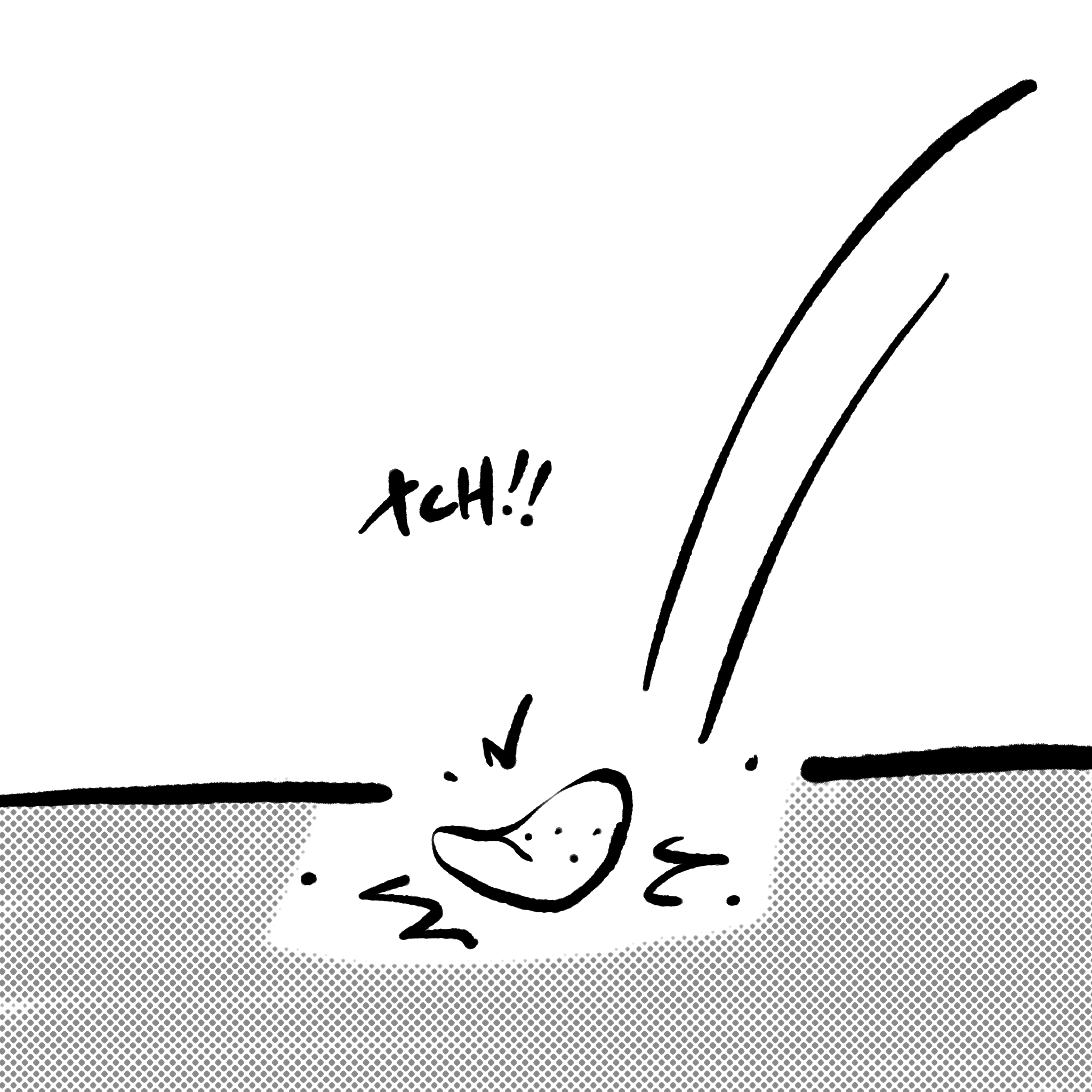 IMG_4183.PNG