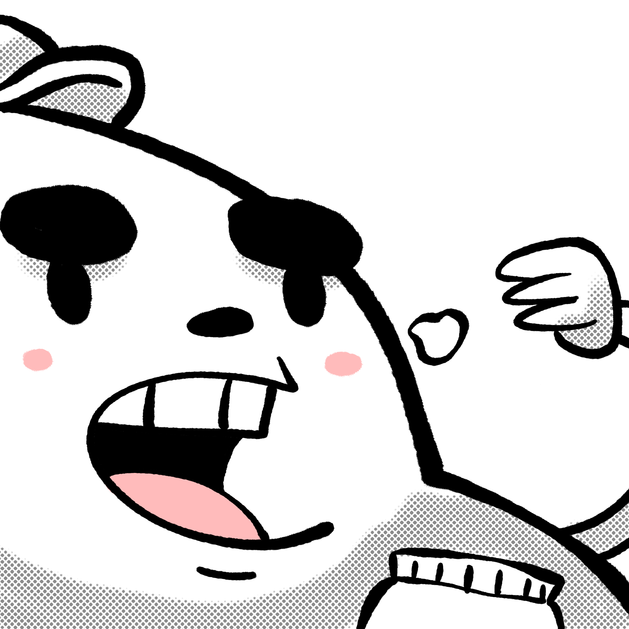 IMG_4181.PNG