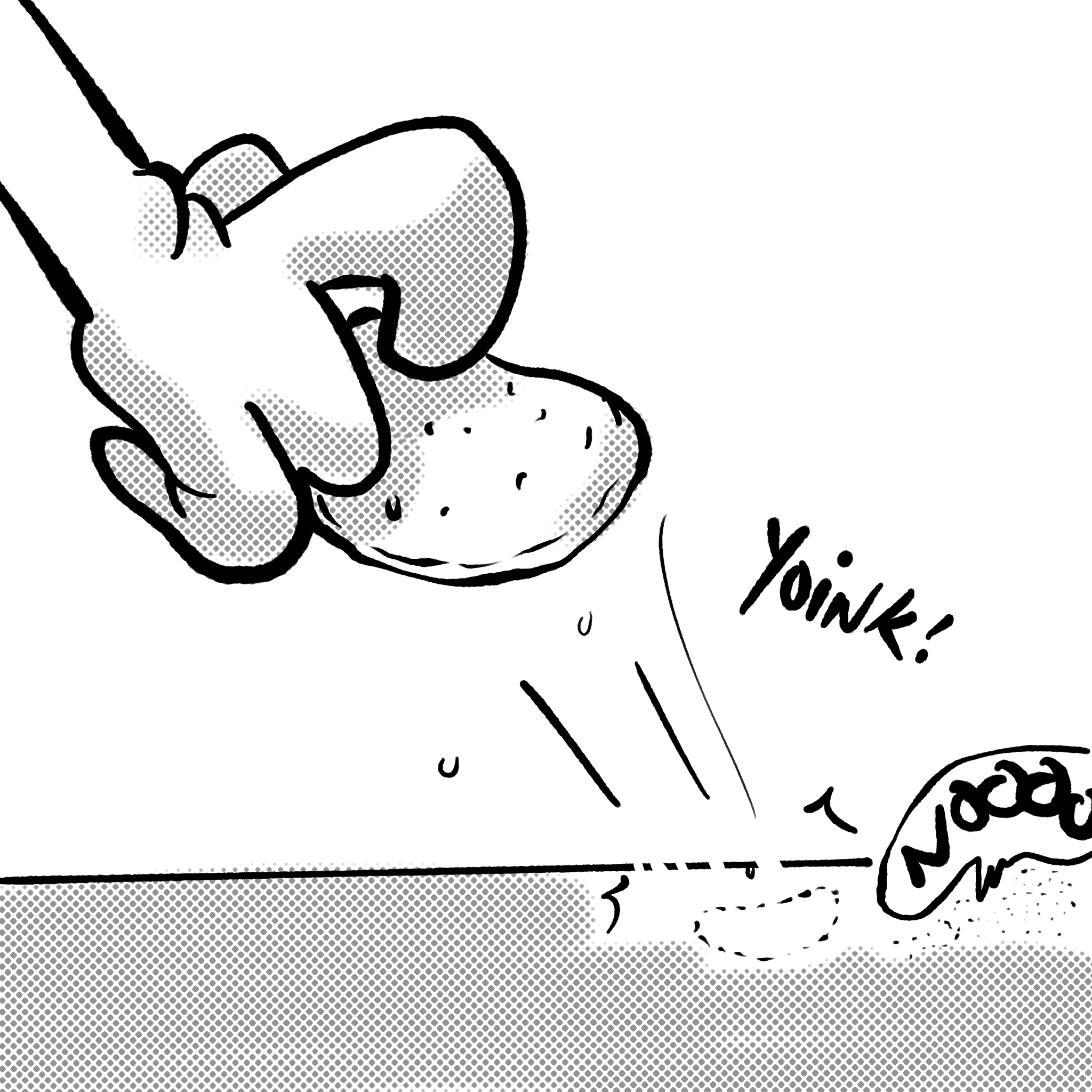 IMG_4187.PNG