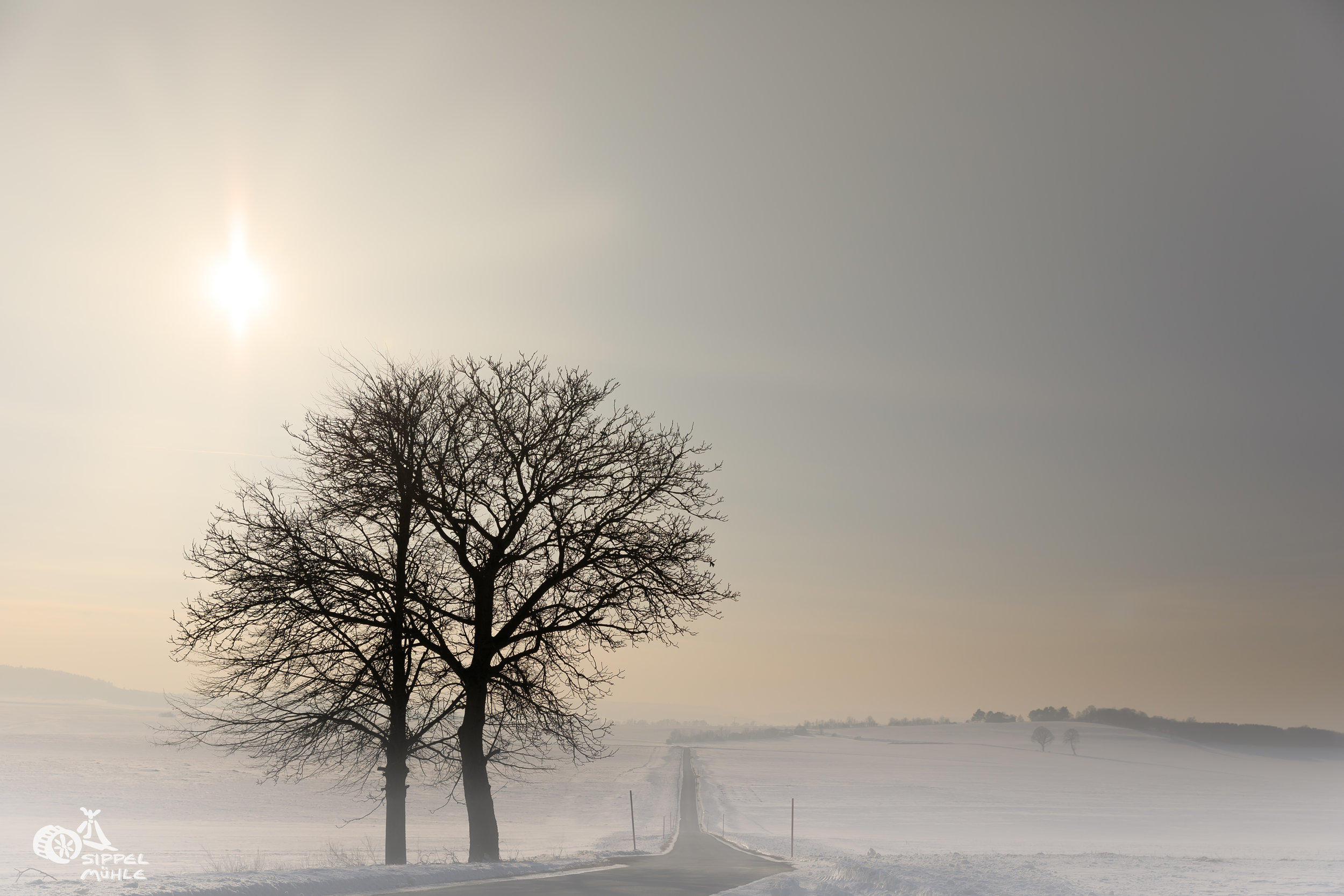 Winterspaziergänge, verschneite Landschaft