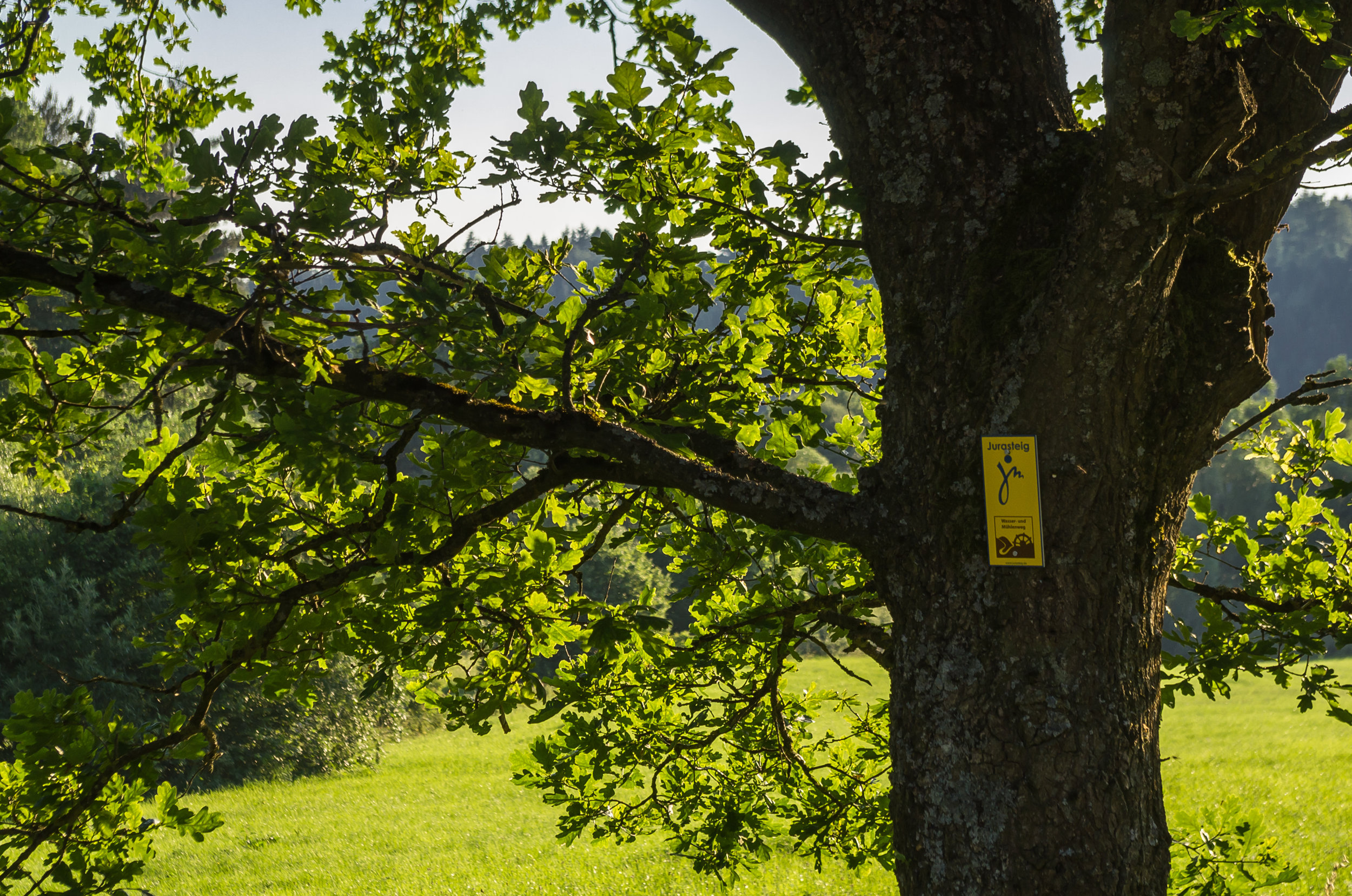 Jura-Steig Wanderweg