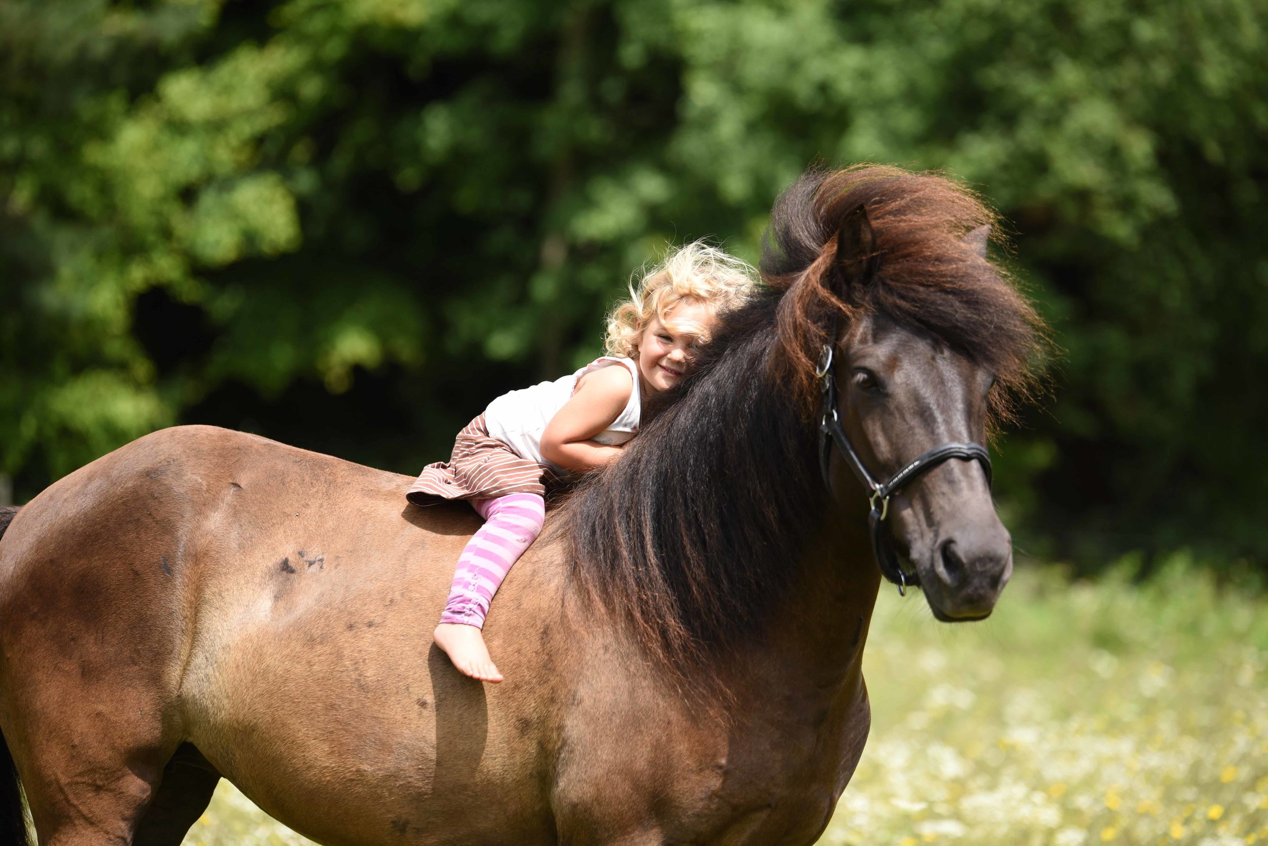 Natur-Erlbenisausritte für Kinder