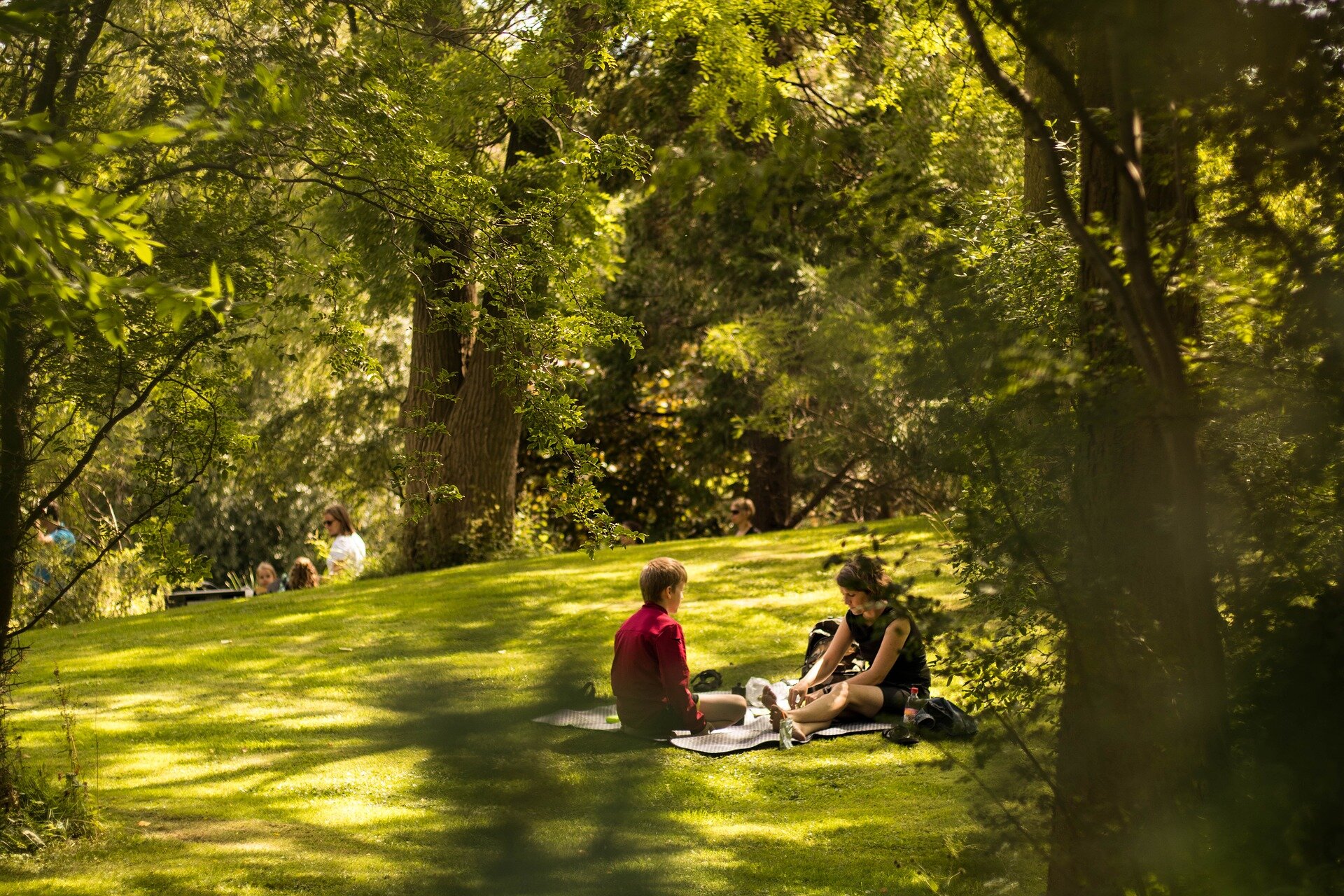 Sommer im Park/LGS-Park sonntags