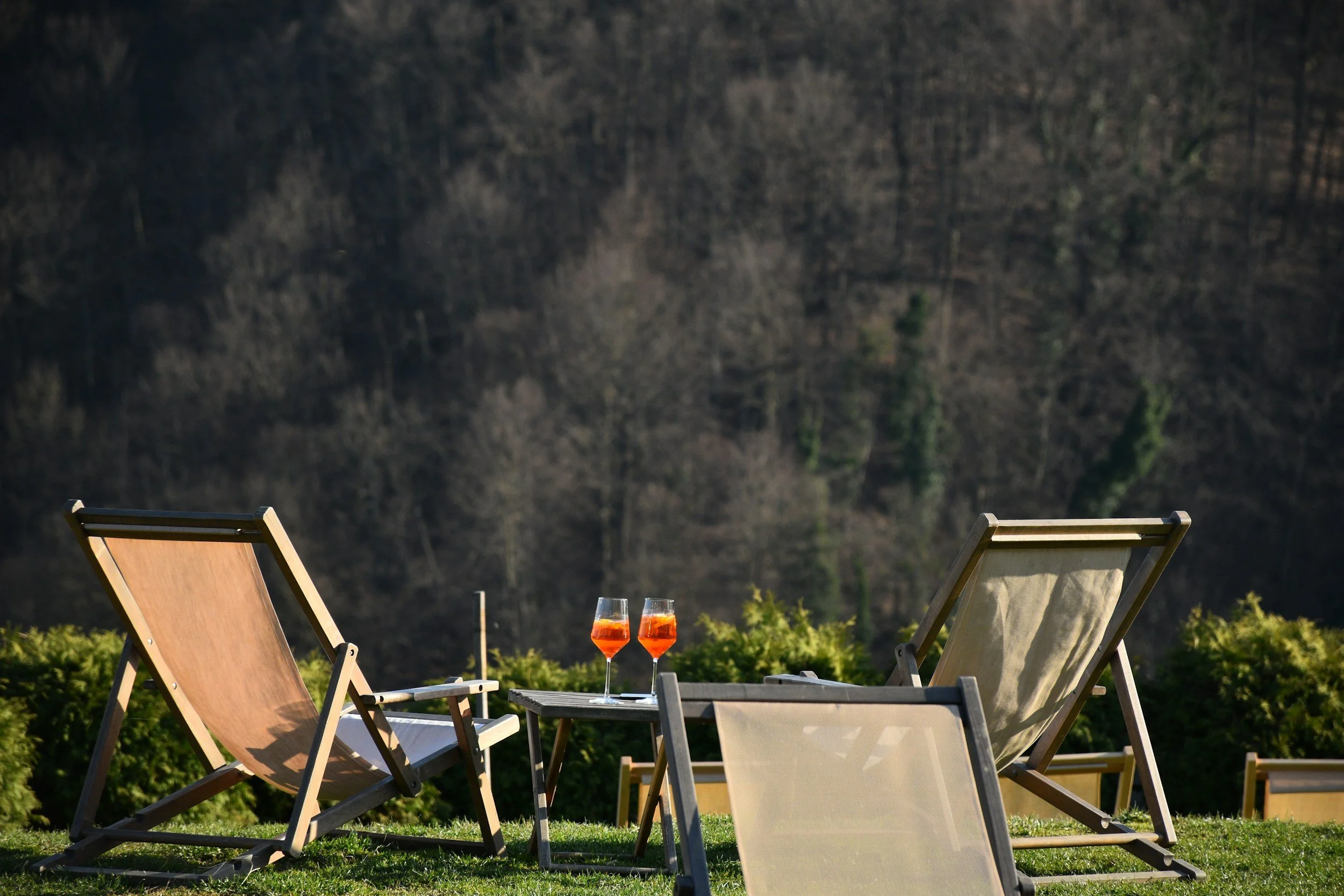 Liegestühle mit Blick auf den Wald und Horizont, Getränke stehen am Tisch