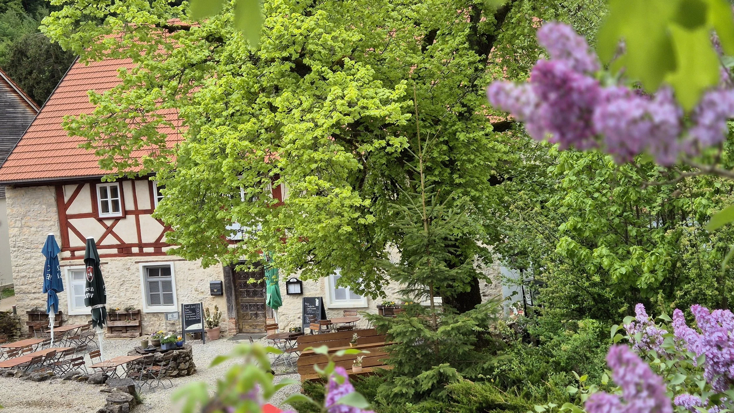 Biergarten, Tische unter alten Linde