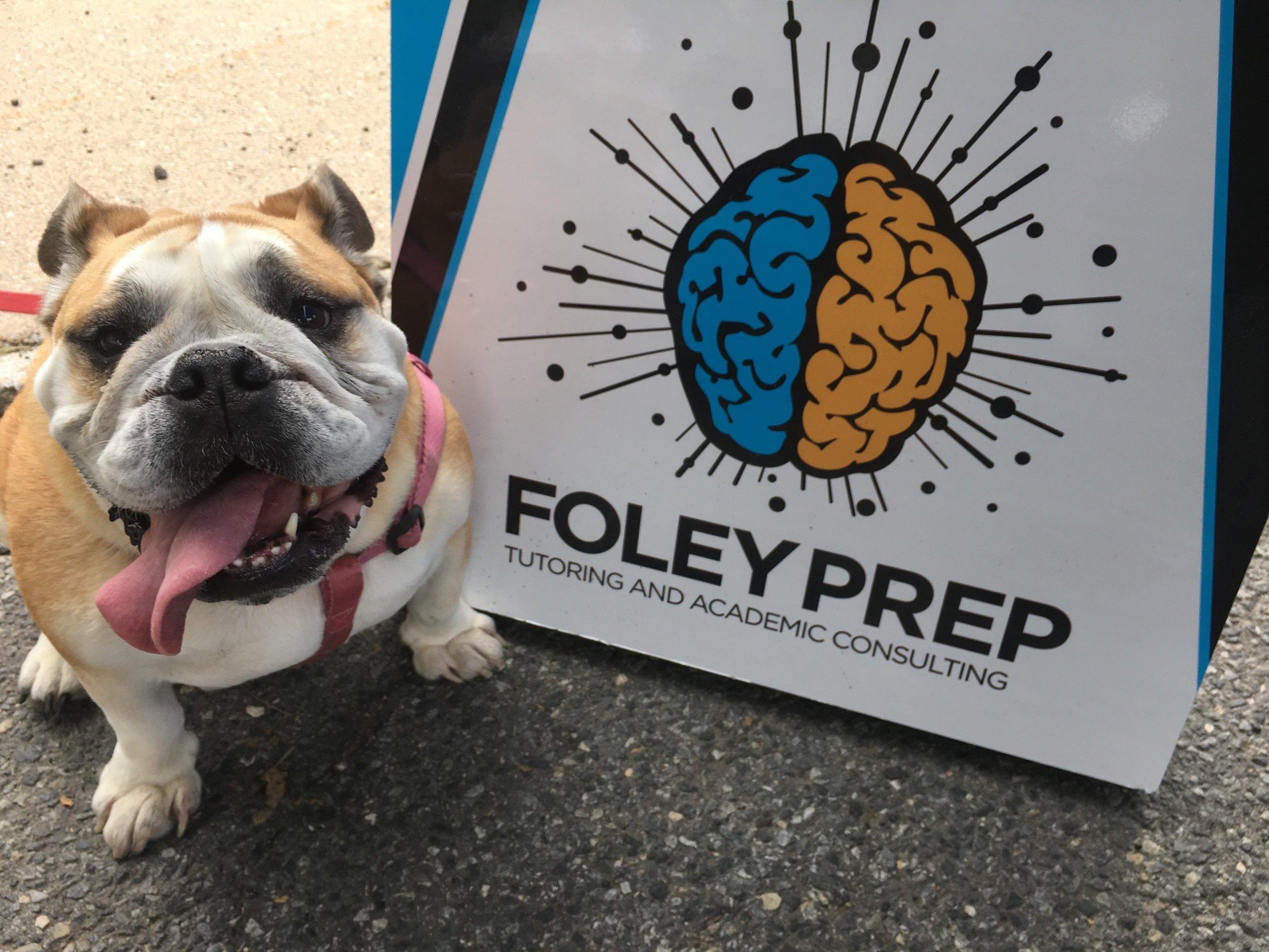 BulldogFP.jpg