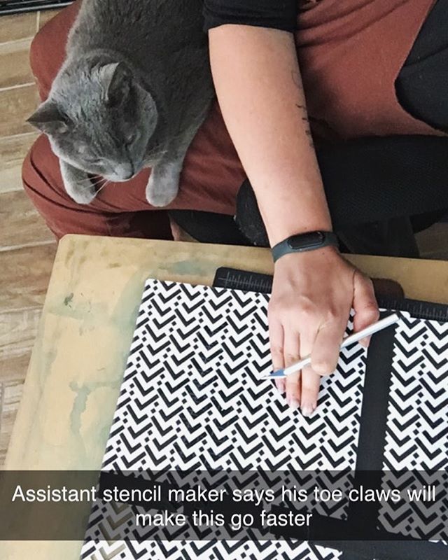 Doing some fabric modification this week - and my fuzzy assistants are glad I’m working at home while we finish prepping the new studio 😻#studiocat #craftiga #costumecrafts #costumecraftartisan #stencil
