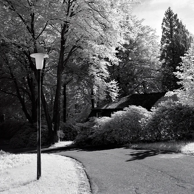 2018-08-09-0912-rollei ir hasselblad 60mm.jpg