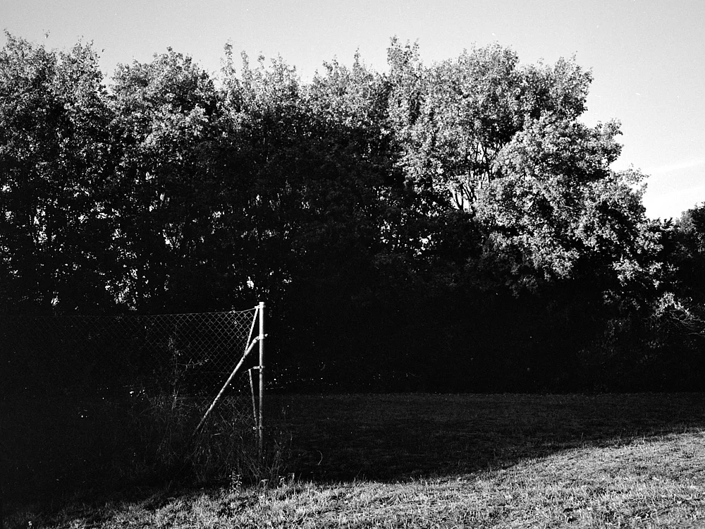 2018-10-17-2021-standing out-streetpan.jpg