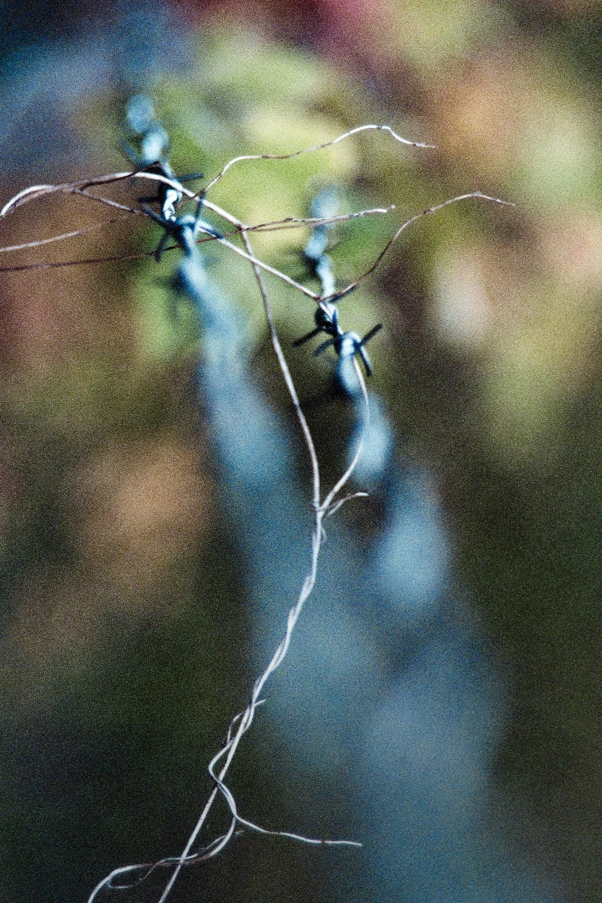 2018-10-26-2127-fuji superia 1600.jpg