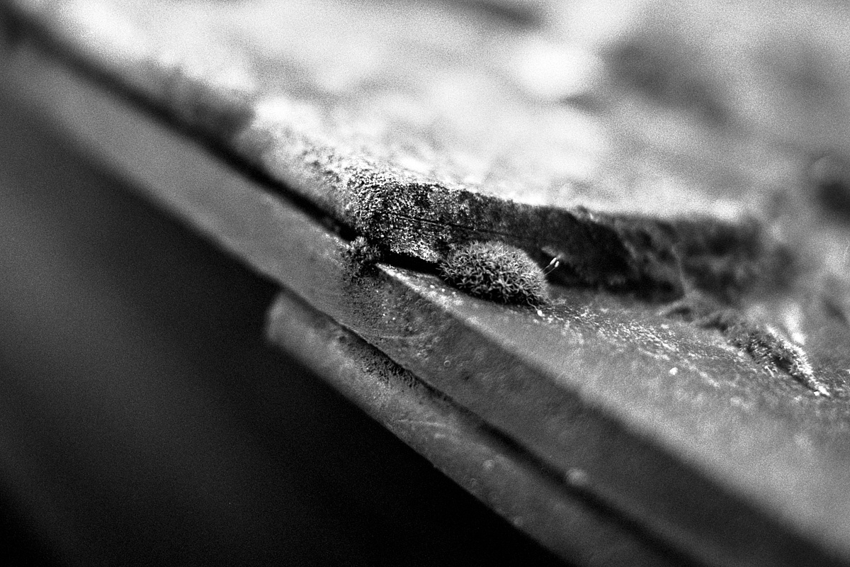 2018-10-29-2139-grey in grey cinestill doublex.jpg