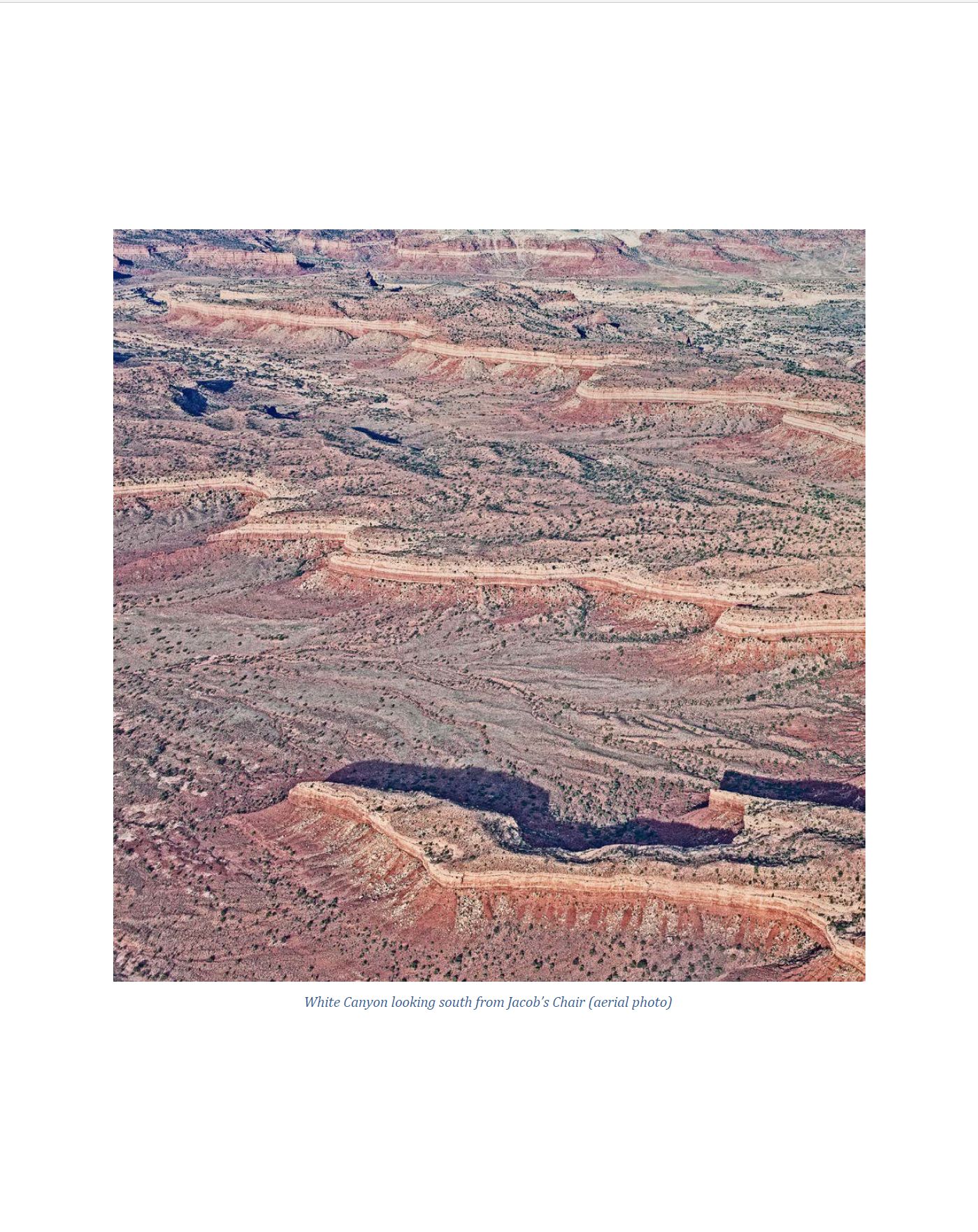 Bears Ears   Aerial Photo