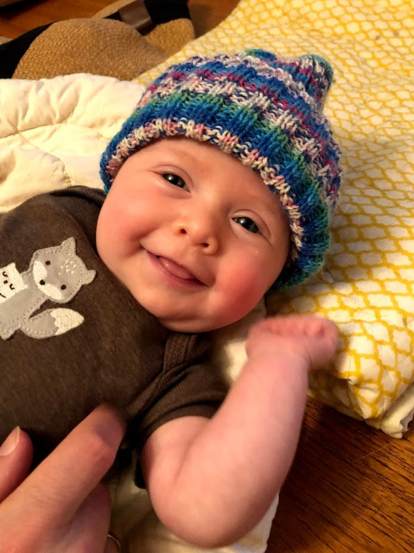 Meet the Newest Member of the Bears Ears Team!