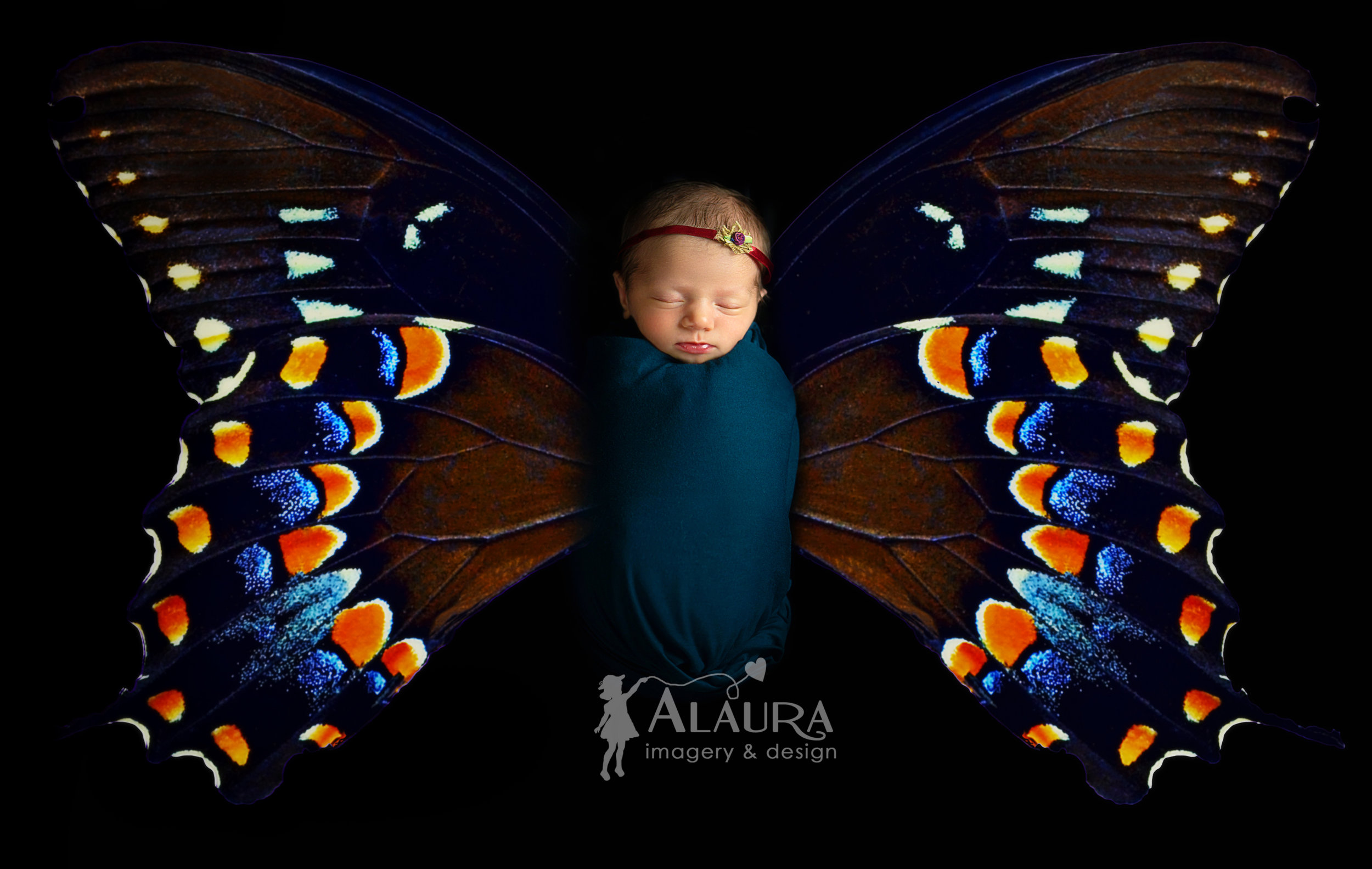 alaura-buterflylogo.jpg