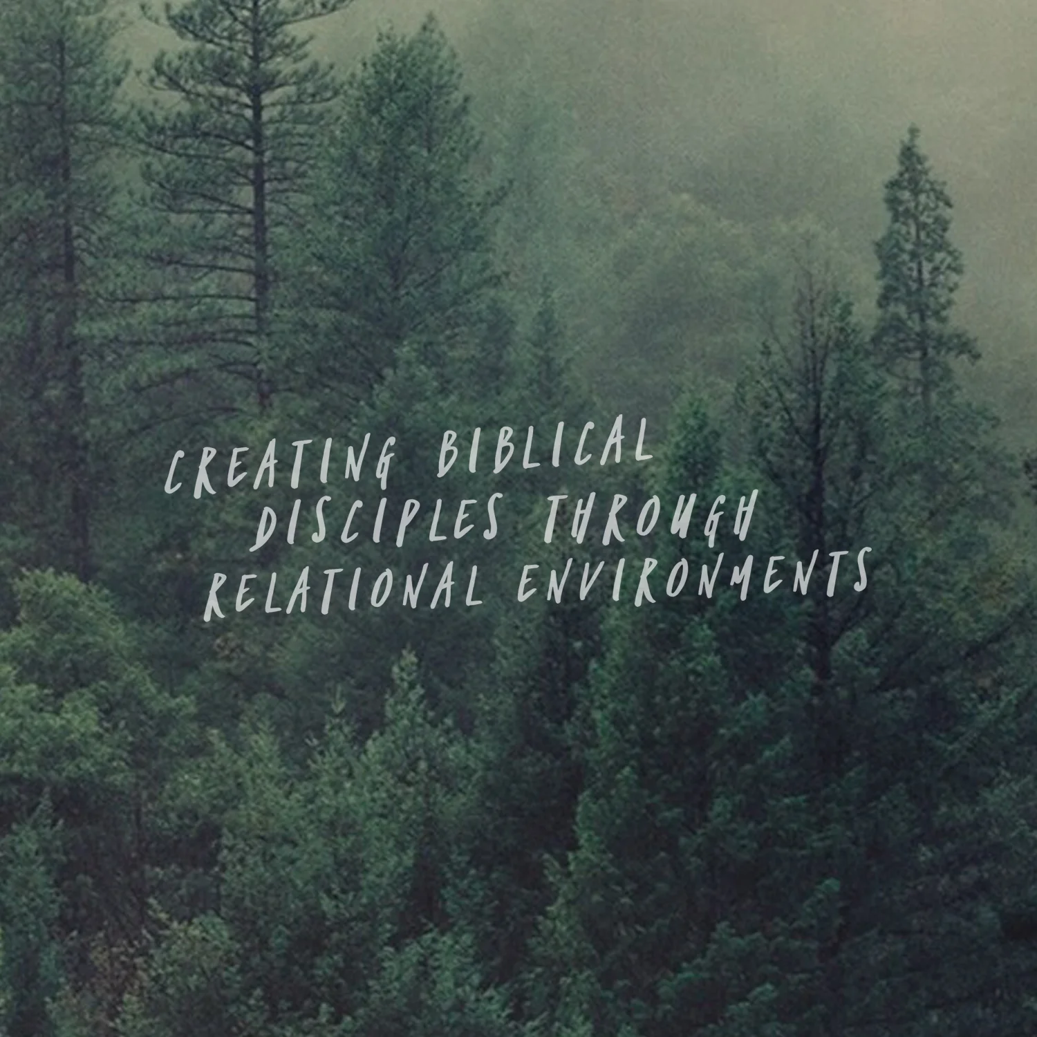 Aiding leadership in crafting and implementing a foundational church-wide disciple-making philosophy of ministry.
