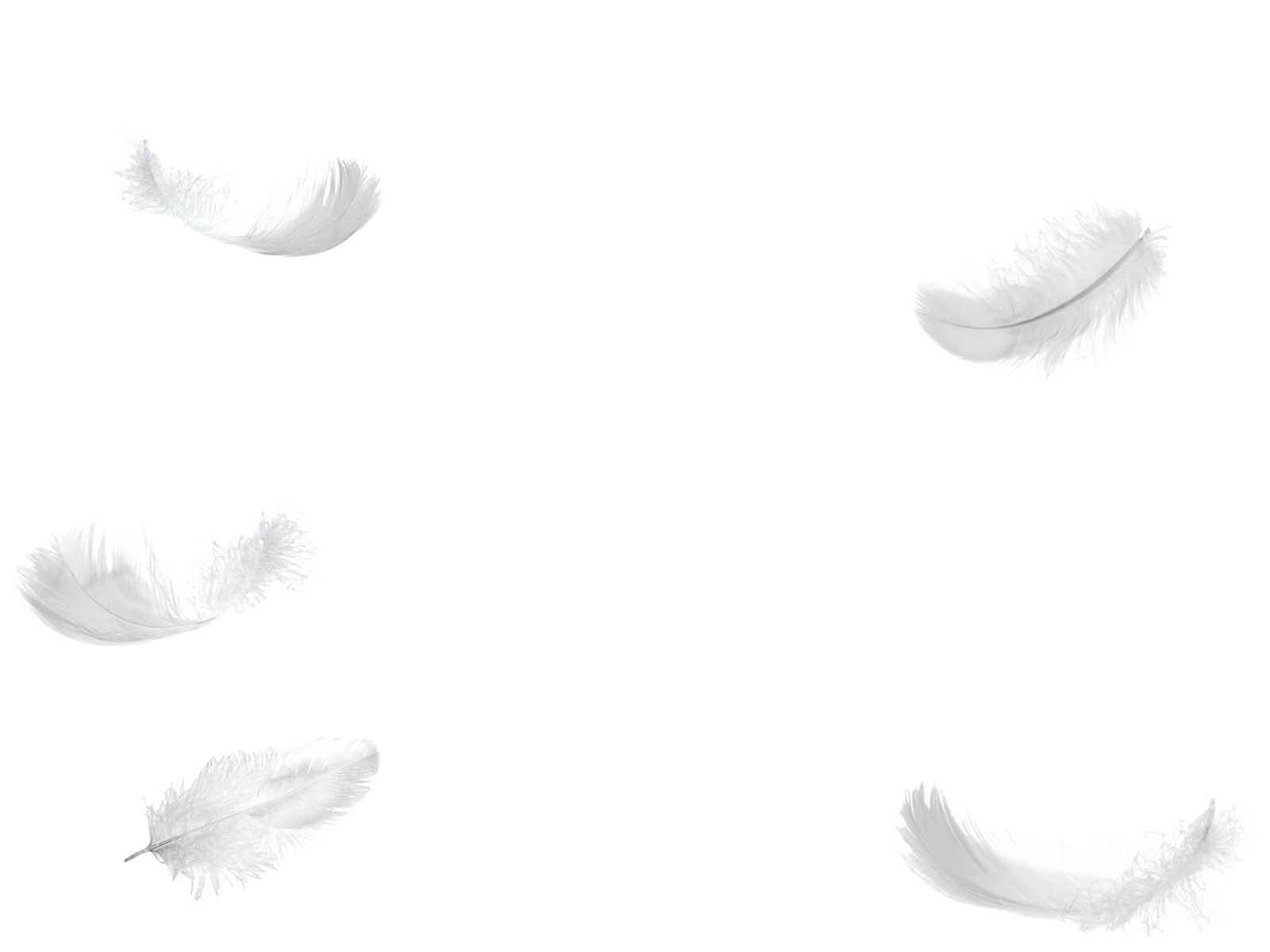 1495816576five-feathers-falling-no-background-png.png