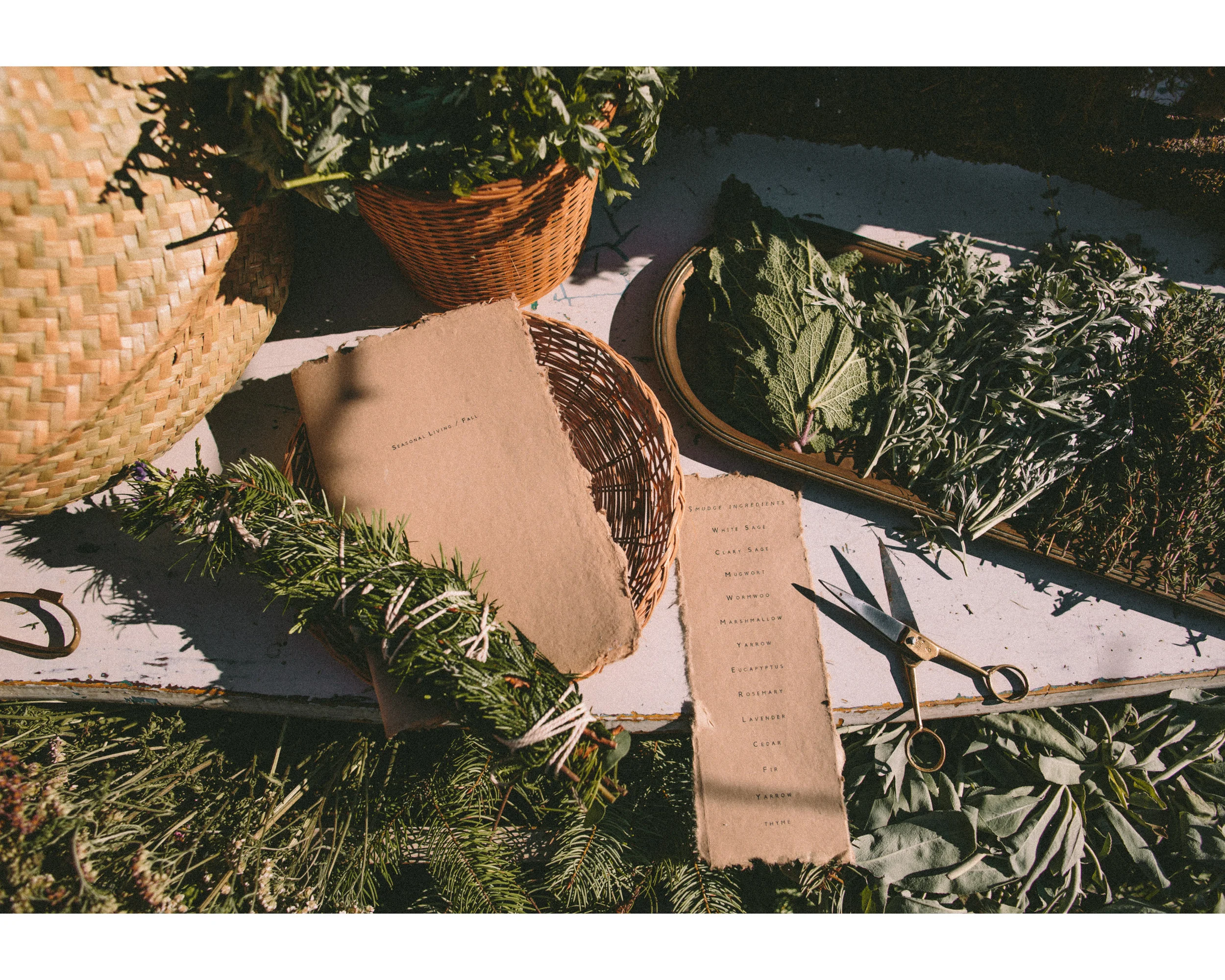 FALL WORKSHOP BLOG8.jpg