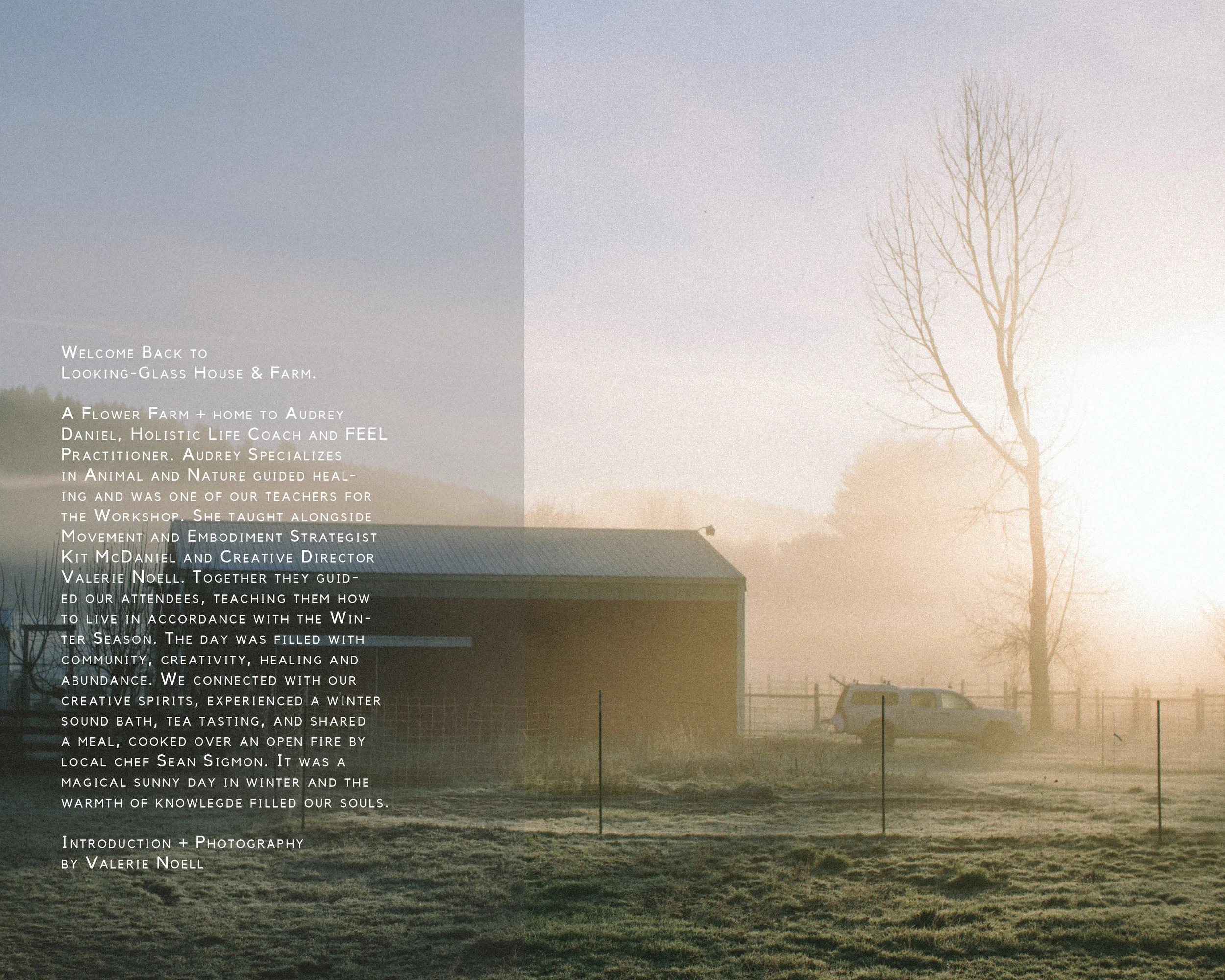 WINTER WORKSHOP BLOG.jpg