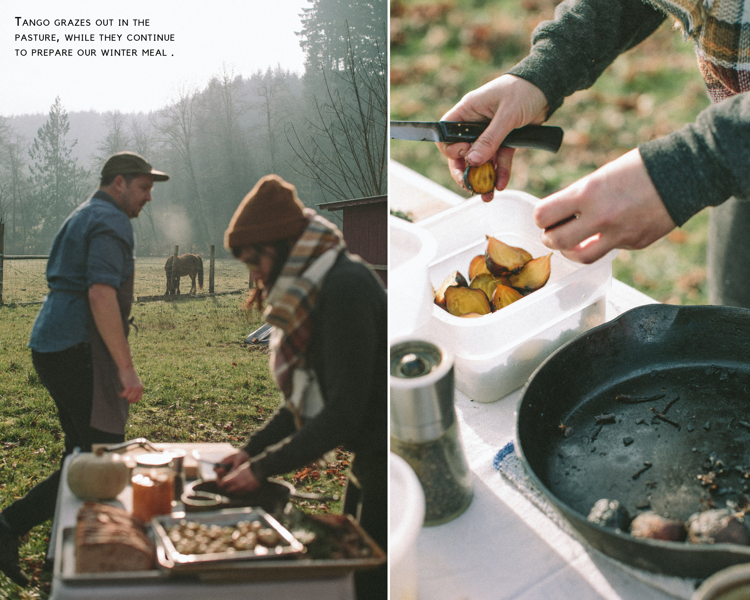 winter workshop + farm meal - Soul Equine