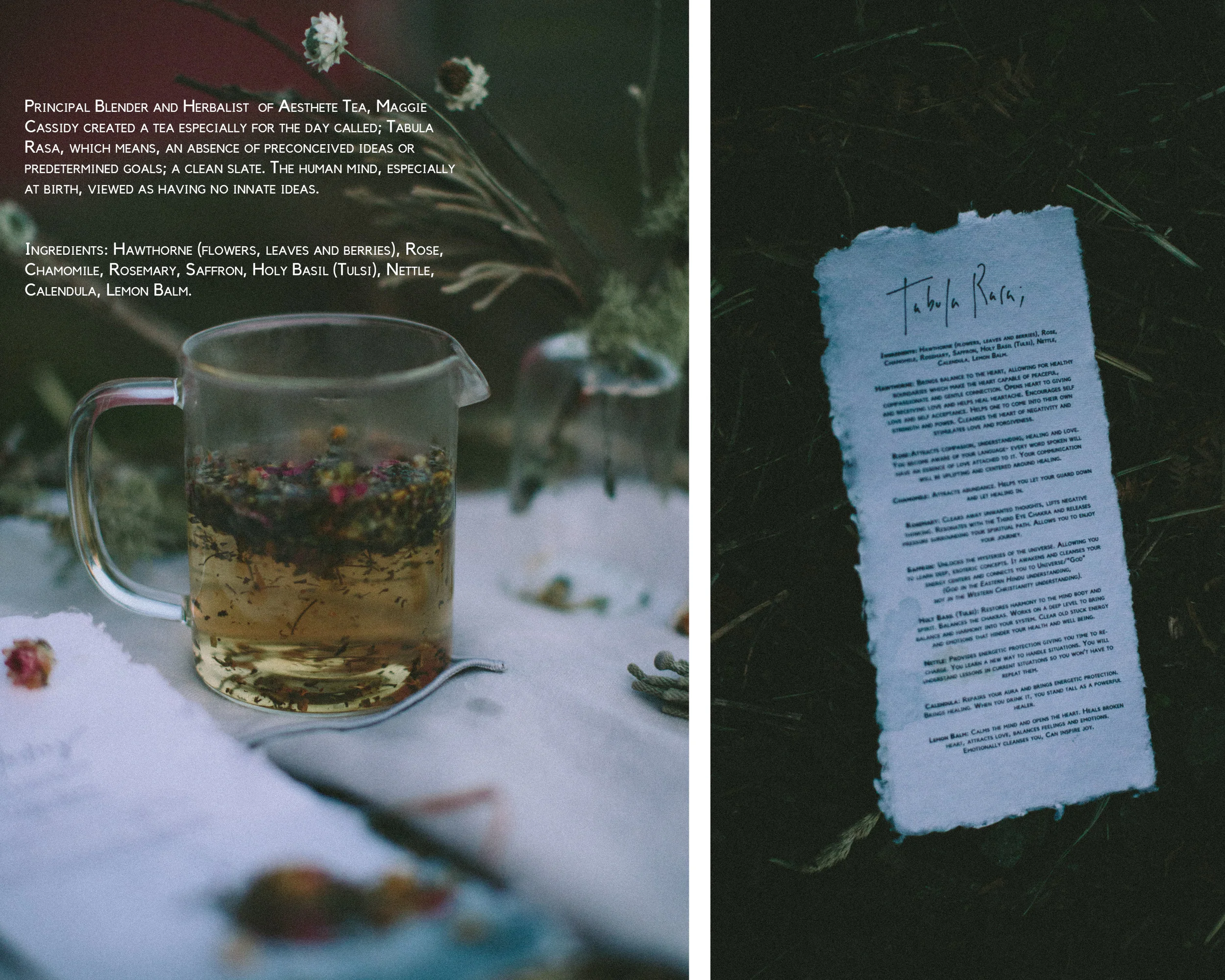 winter workshop + farm meal - Soul Equine
