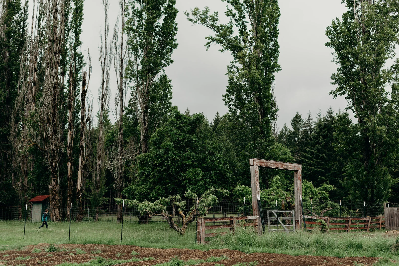 Soul_Equine_Summer_Workshop_2019-72.jpg