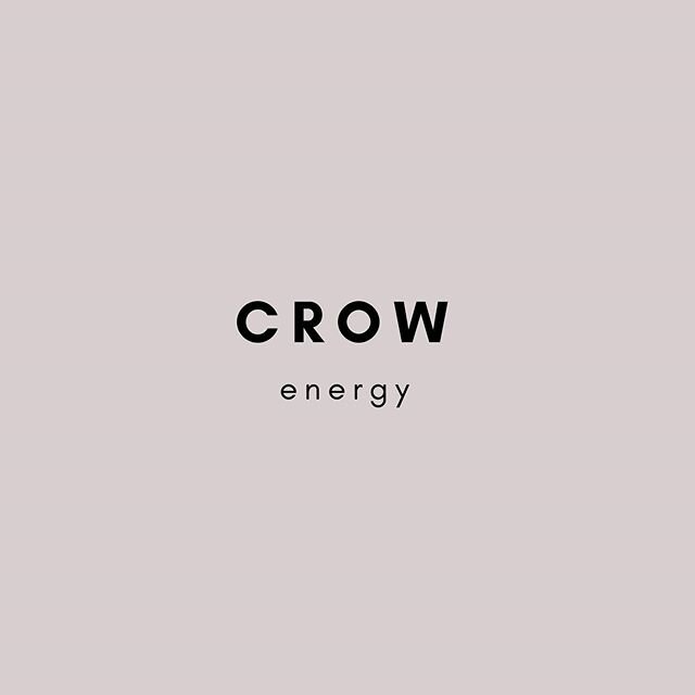 ⬷ C R O W // animal totem //
◄ The Secret Magic of Creation ►
Wherever crows are, there is magic. They are symbols of creation and spiritual strength. They remind us to look for opportunities to create and manifest the magic of life. They are messeng