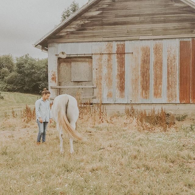 ✨YOU ARE LIVING IN A FORCE FIELD✨⠀
I talk about energy a lot because being with horses has taught me how important our energetic communication is.⠀
⠀
🌿We spend a lot of time focusing on man-made EMFs (electromagnetic fields) that aren&rsquo;t health