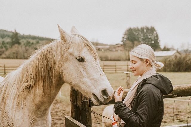 ✨One of the first times I remember believing the power of my own energy (and its affect on others) was when I first started really being with horses.⠀
🌿Horses have evolved to be so sensitive to energy (our force fields) that they are perfect reflect