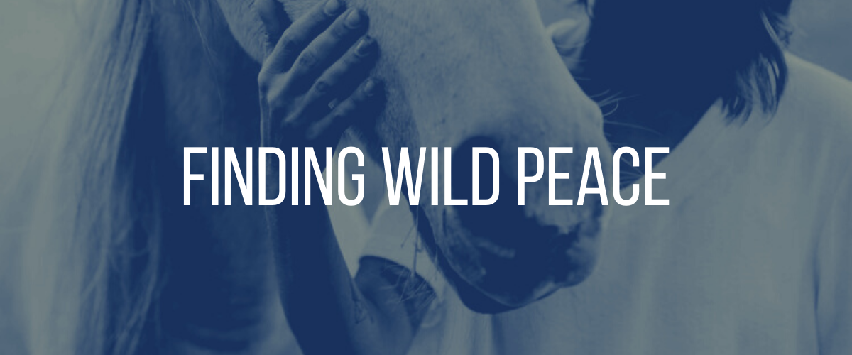 Winter Clearance.png