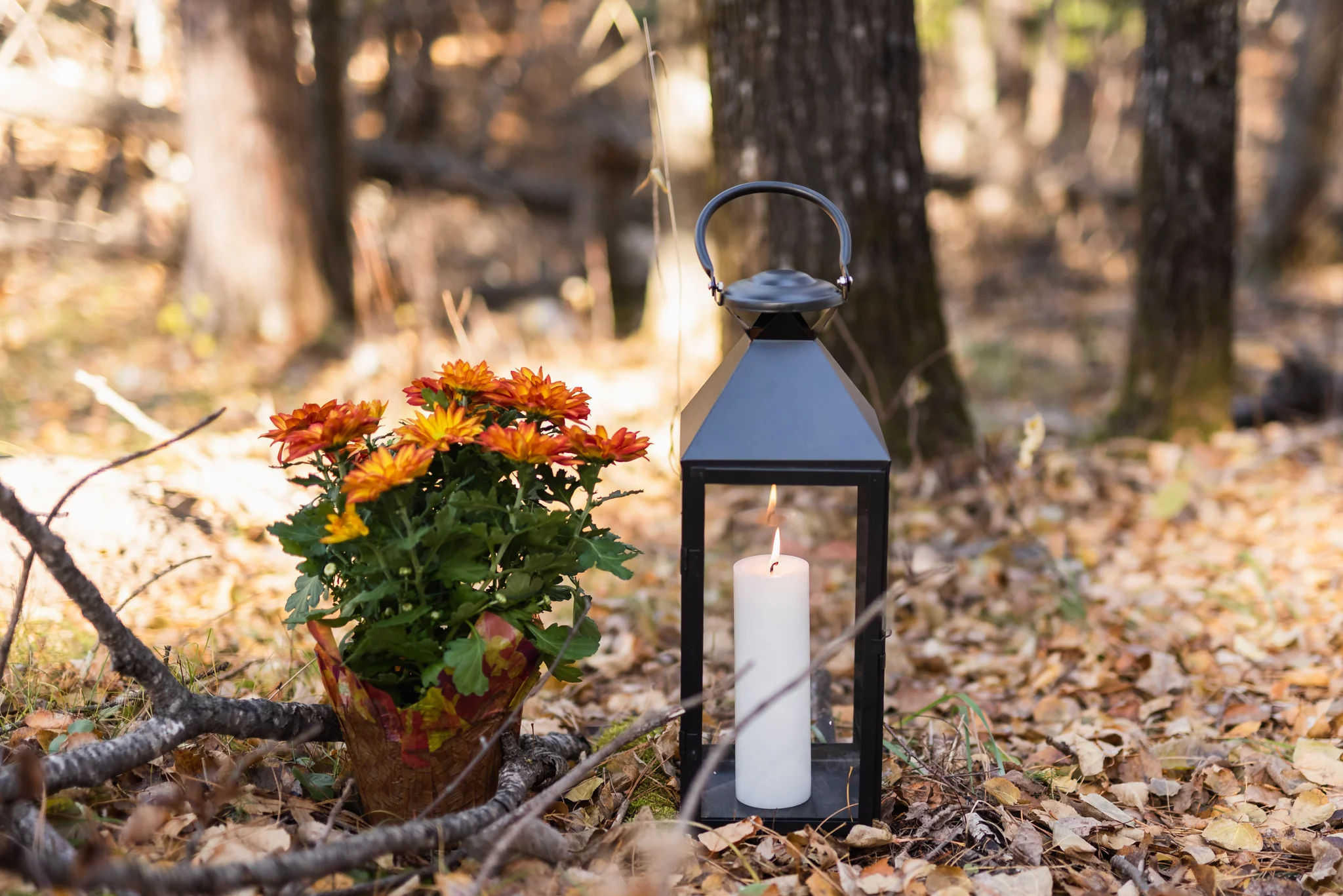Concordia Language Villages Wedding in Bemidji, MN by Chelsea Joy Photography, Fargo ND Wedding Photographer