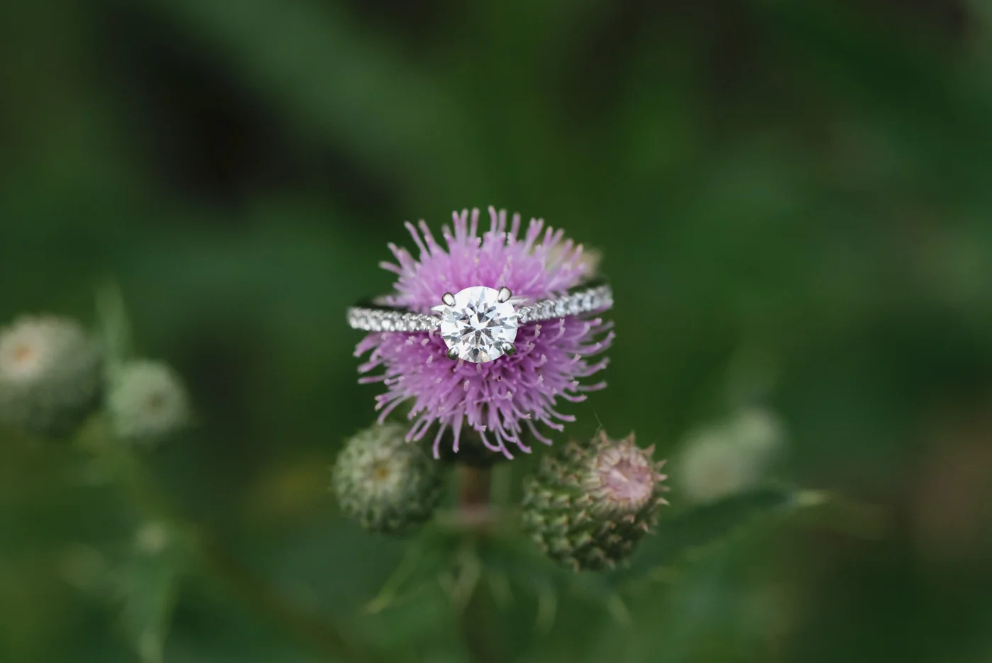 Downtown Fargo Engagement Session | Fargo Wedding Photographer