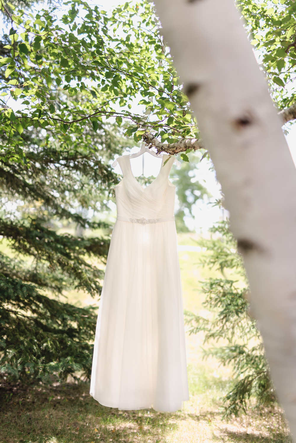 Summer Backyard Lakeside Wedding | Fargo Wedding Photography