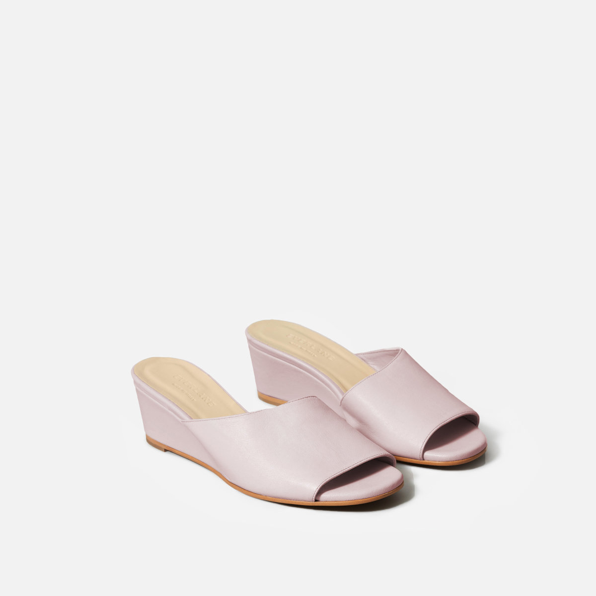 everlane wedge2.jpg