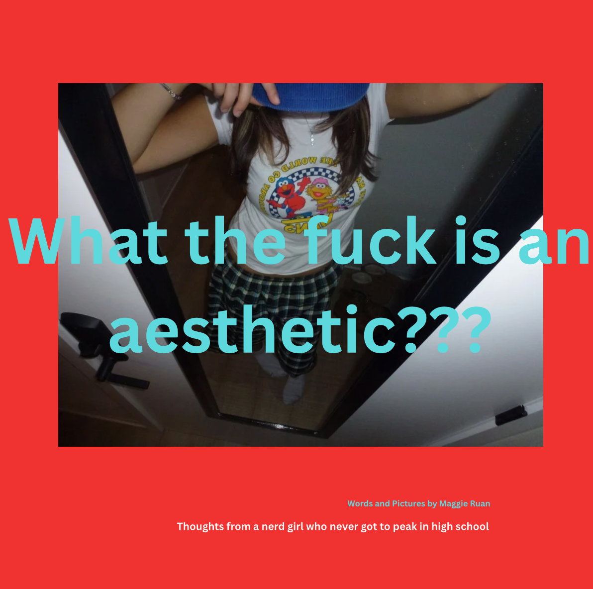 What the fuck is an aesthetic???
