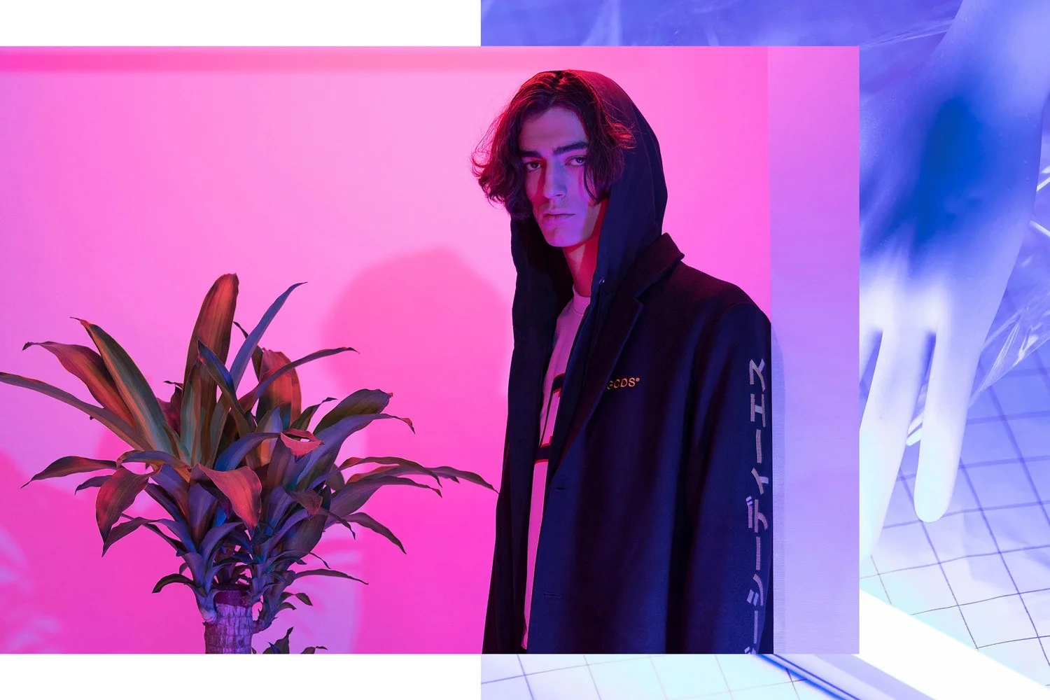 Unknown-10.jpeg