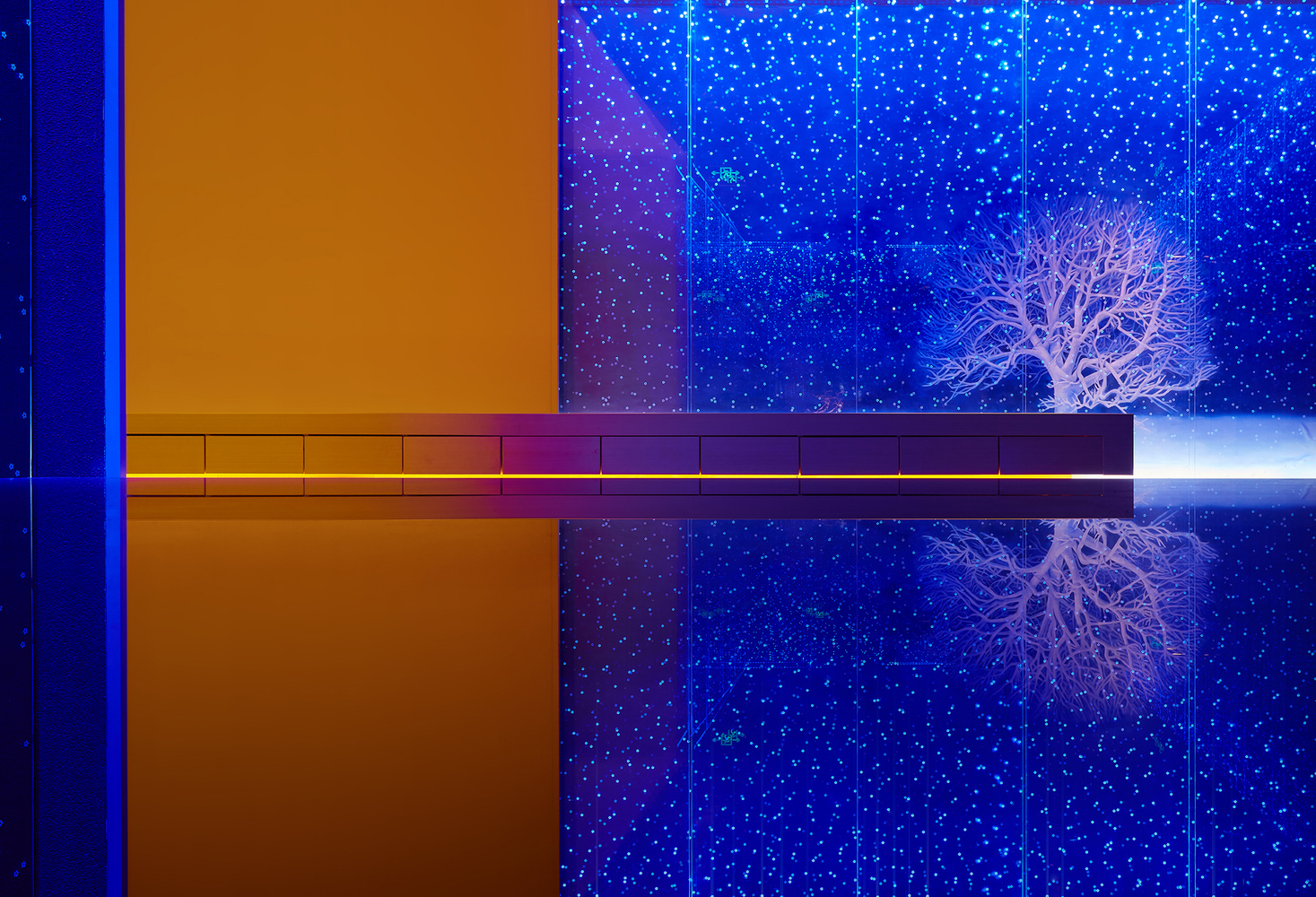 雪月花-003.jpg