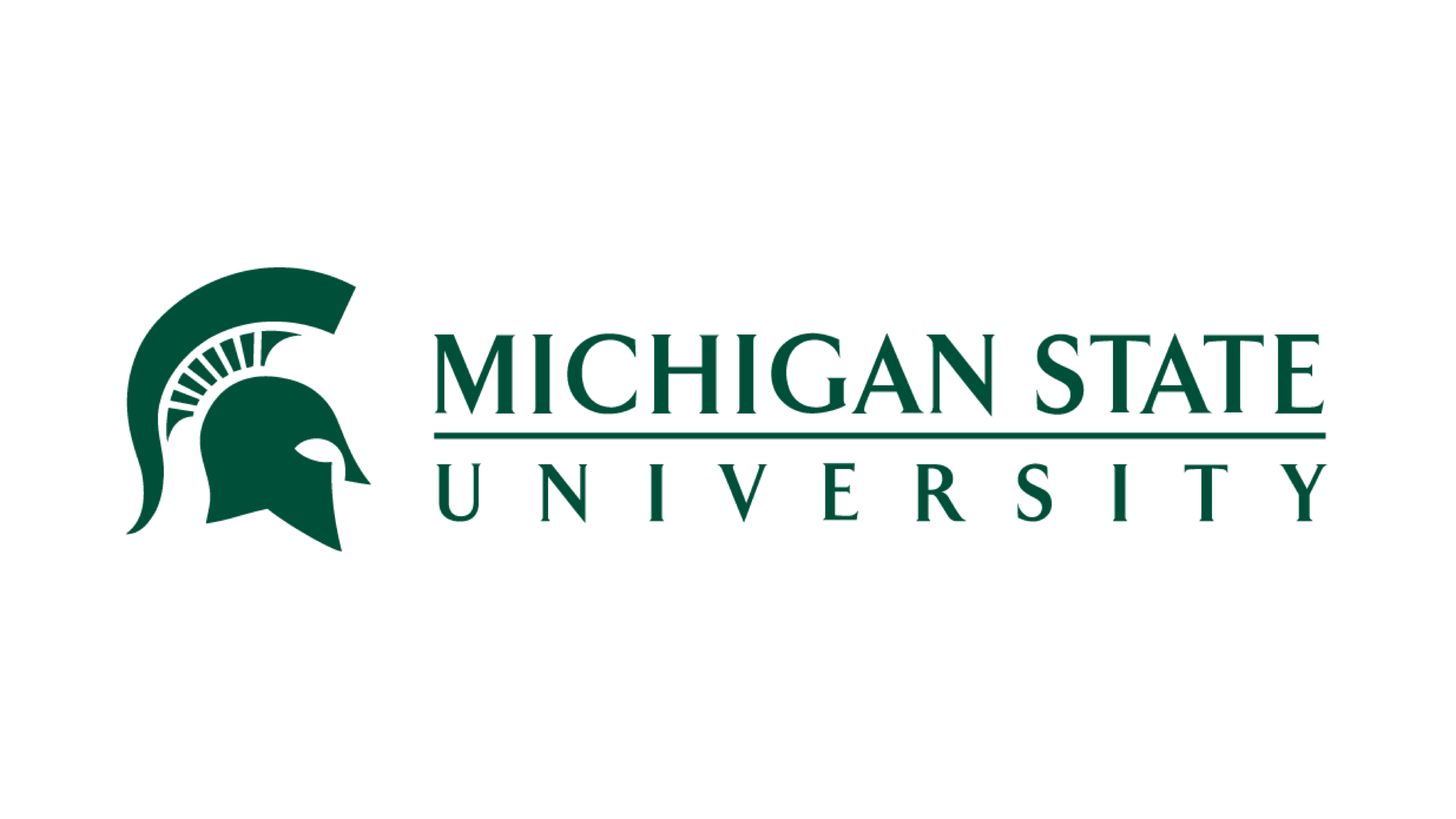 Michigan State.png