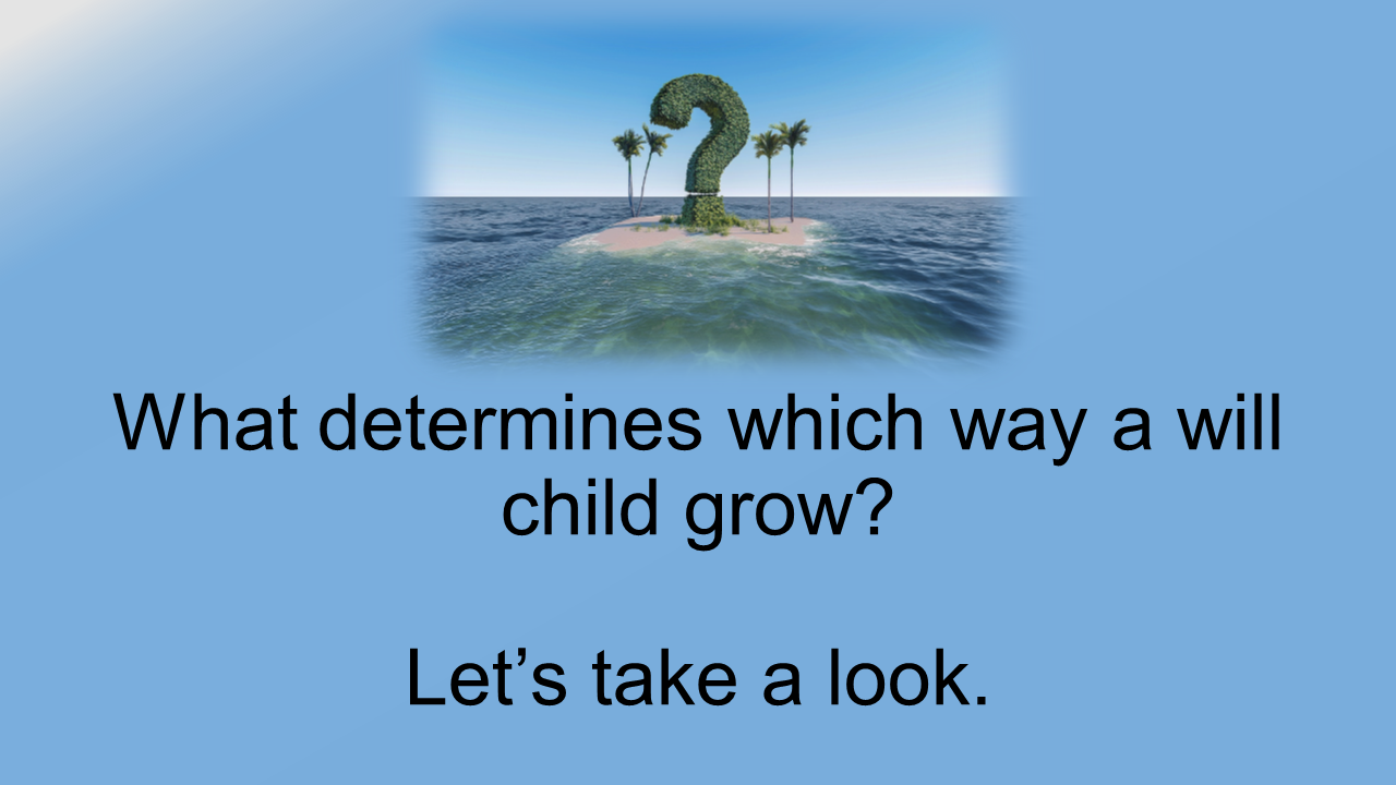 Slide8.PNG