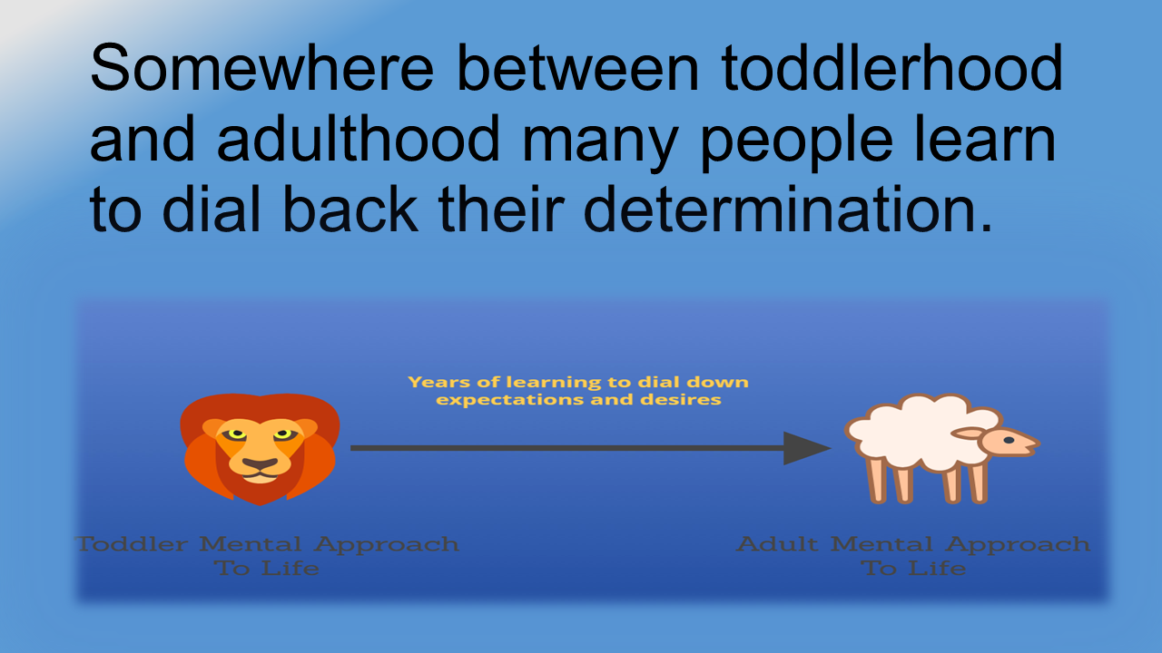 Slide15.PNG
