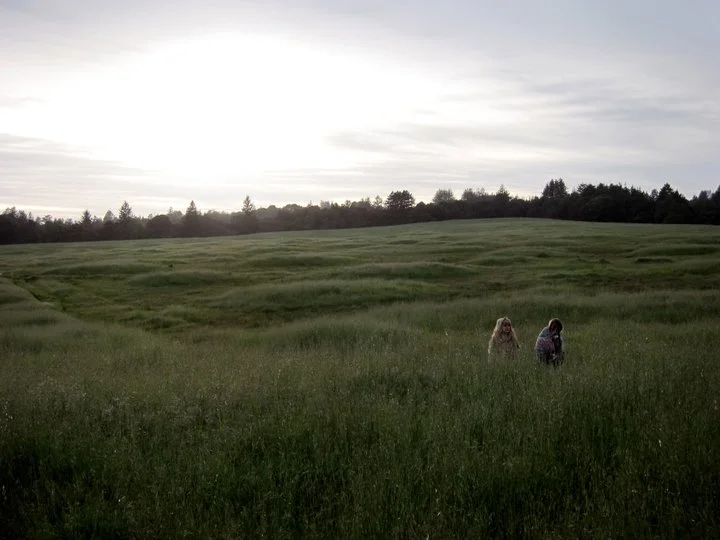 sc sister meadow.jpg