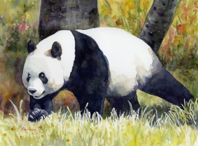 Springtime Panda Watercolor Painting Panda