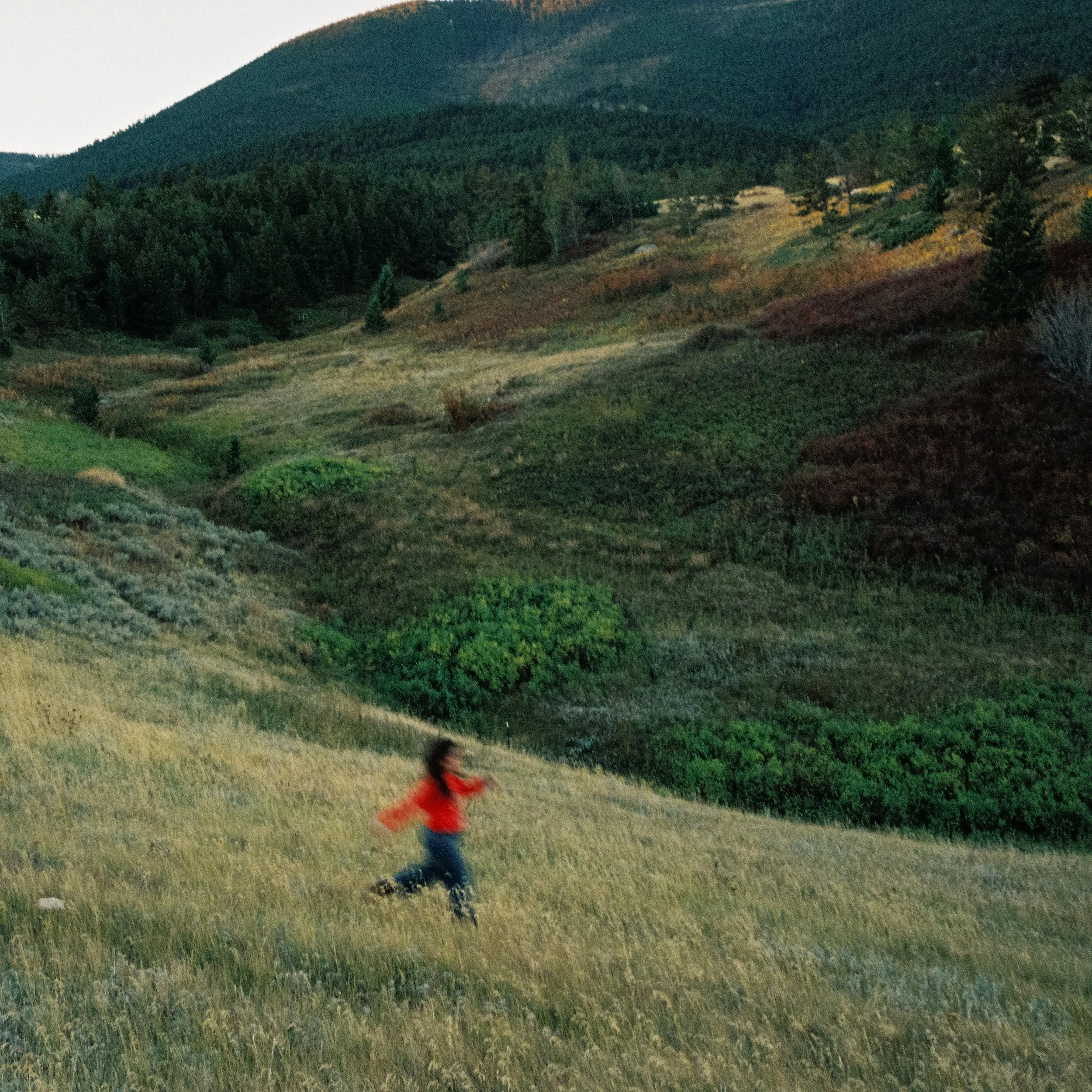 MR_6591_Portra 800_136406-R1-060-28A.jpg