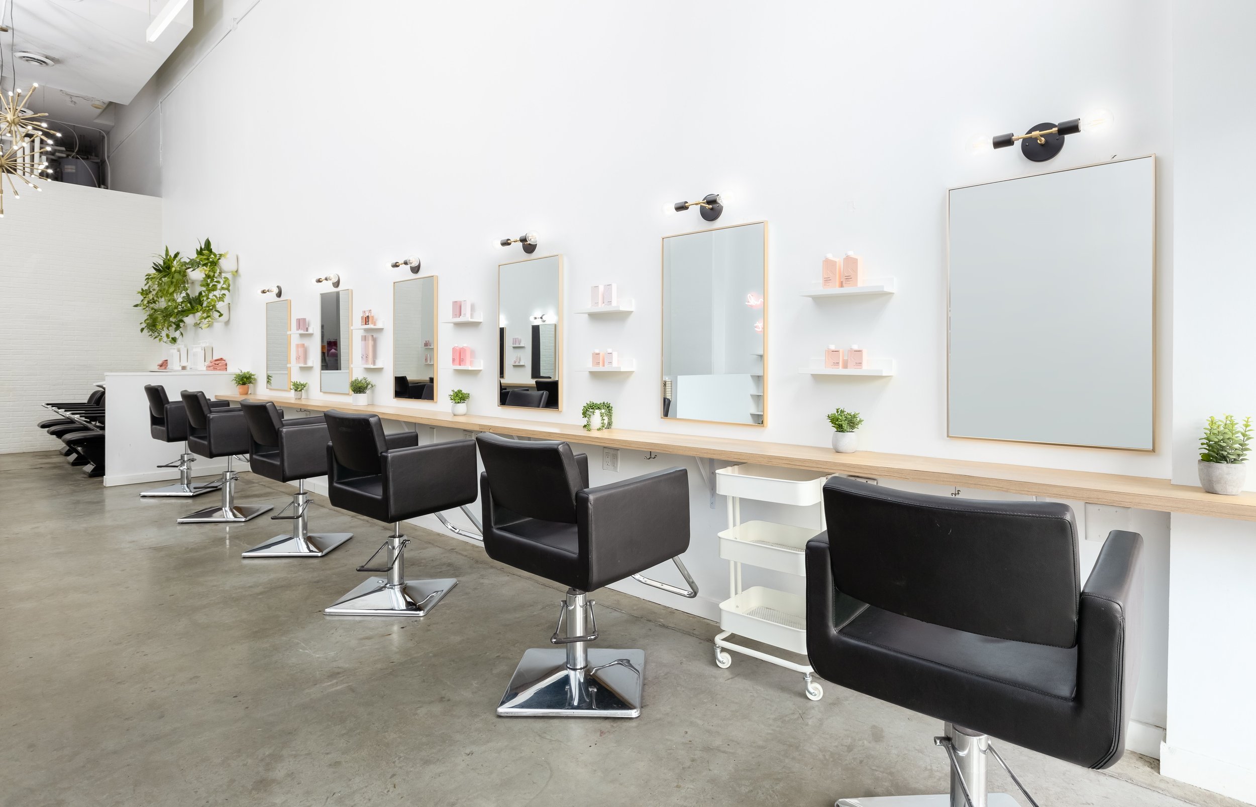 Artel Salon Headquarters |  Commercial Tenant Improvement