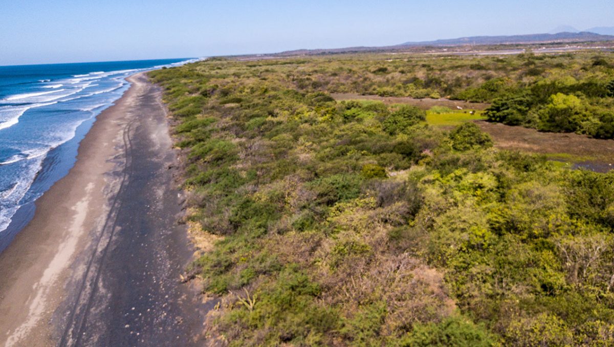 DJI_0006-1200x680.jpg