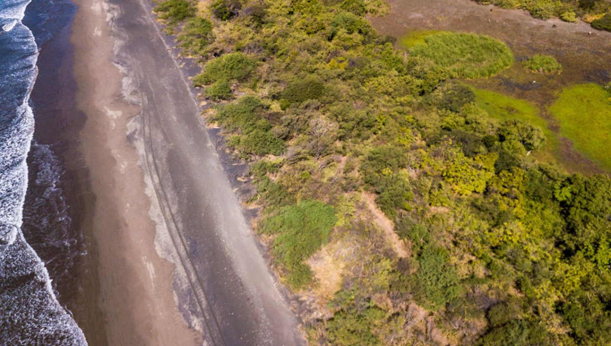 DJI_0021-1200x680.jpg