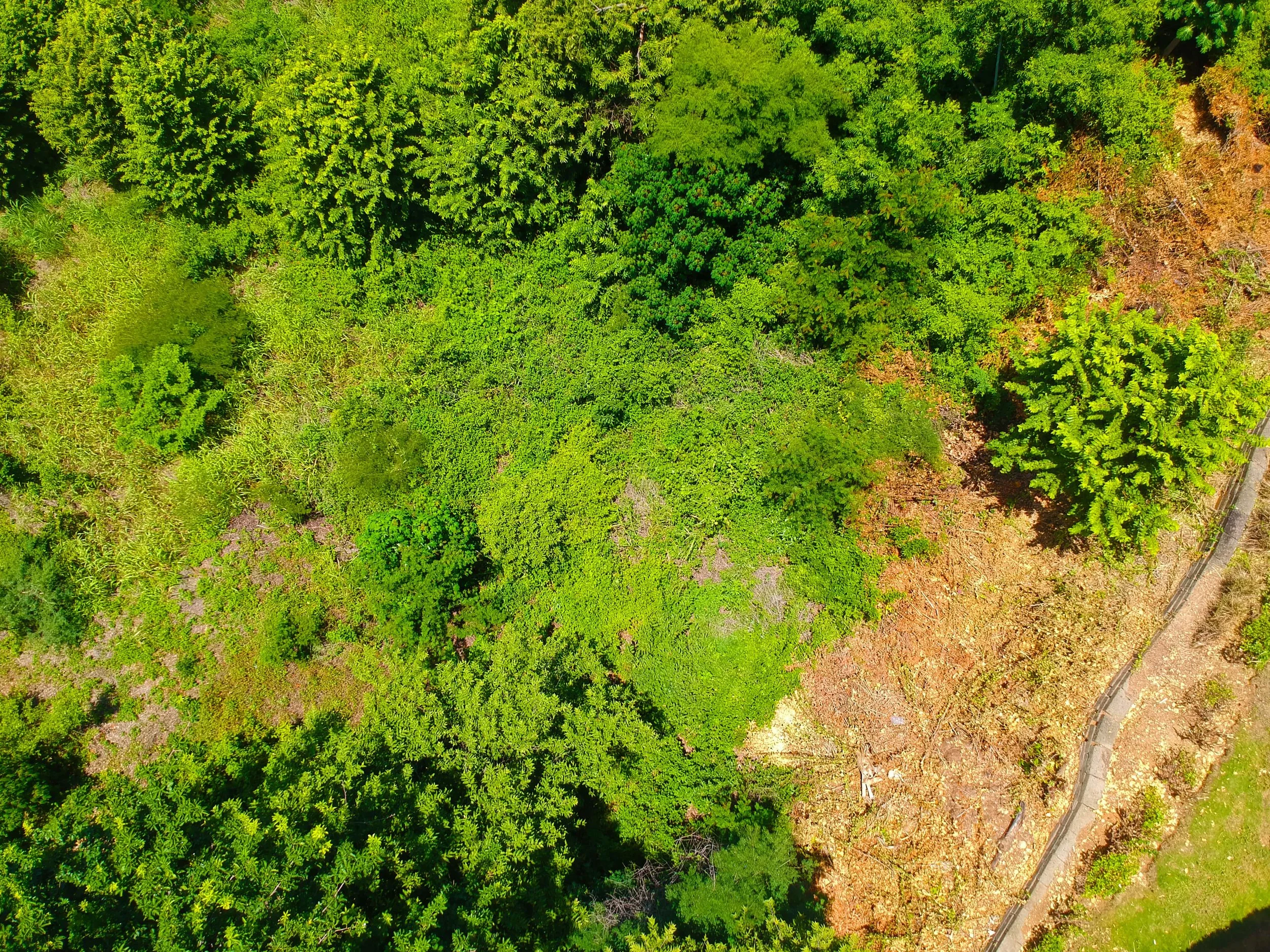 Epic Ocean View Lot For Sale Playa Yankee 2-min.jpg