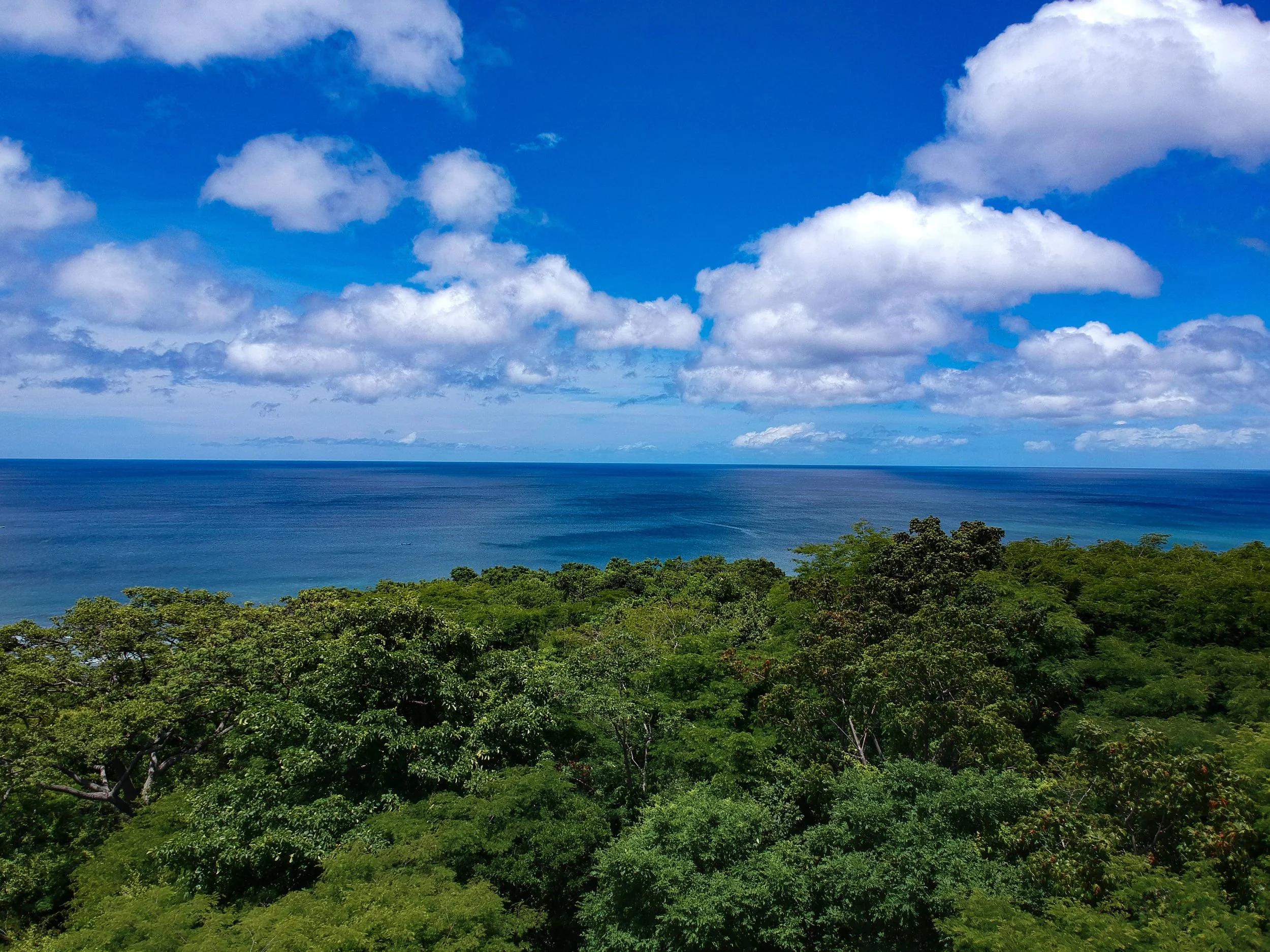 Epic Ocean View Lot Playa Yankee 4-min.jpg
